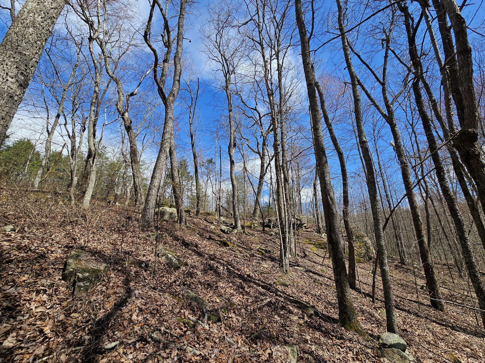 9 Myers Town Road Property Photo 21