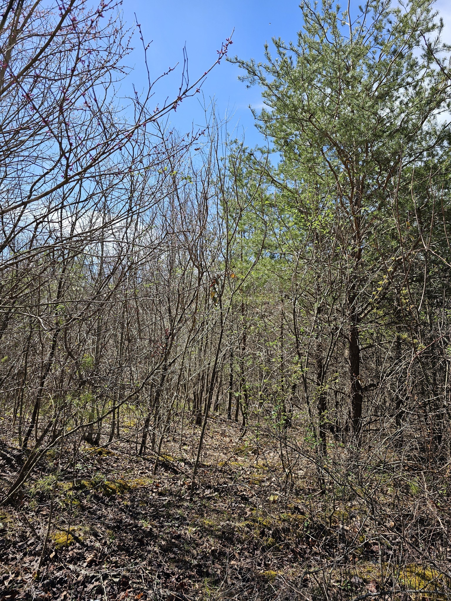 9 Myers Town Road Property Photo 22