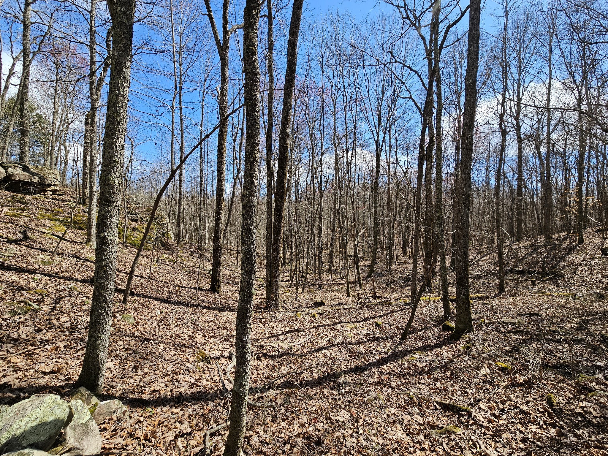 9 Myers Town Road Property Photo 24