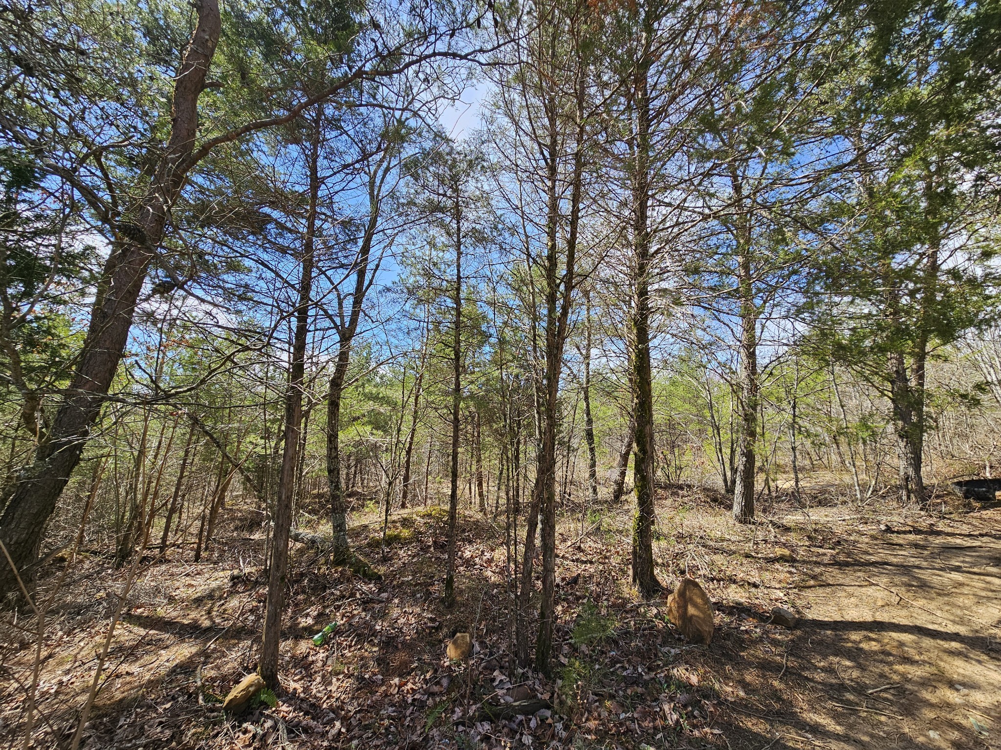 9 Myers Town Road Property Photo 25