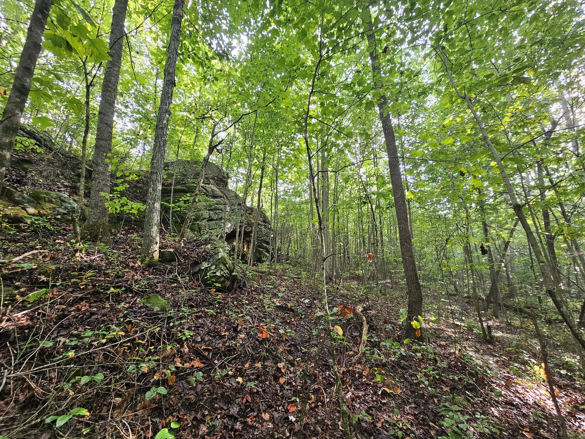 9 Myers Town Road Property Photo 29