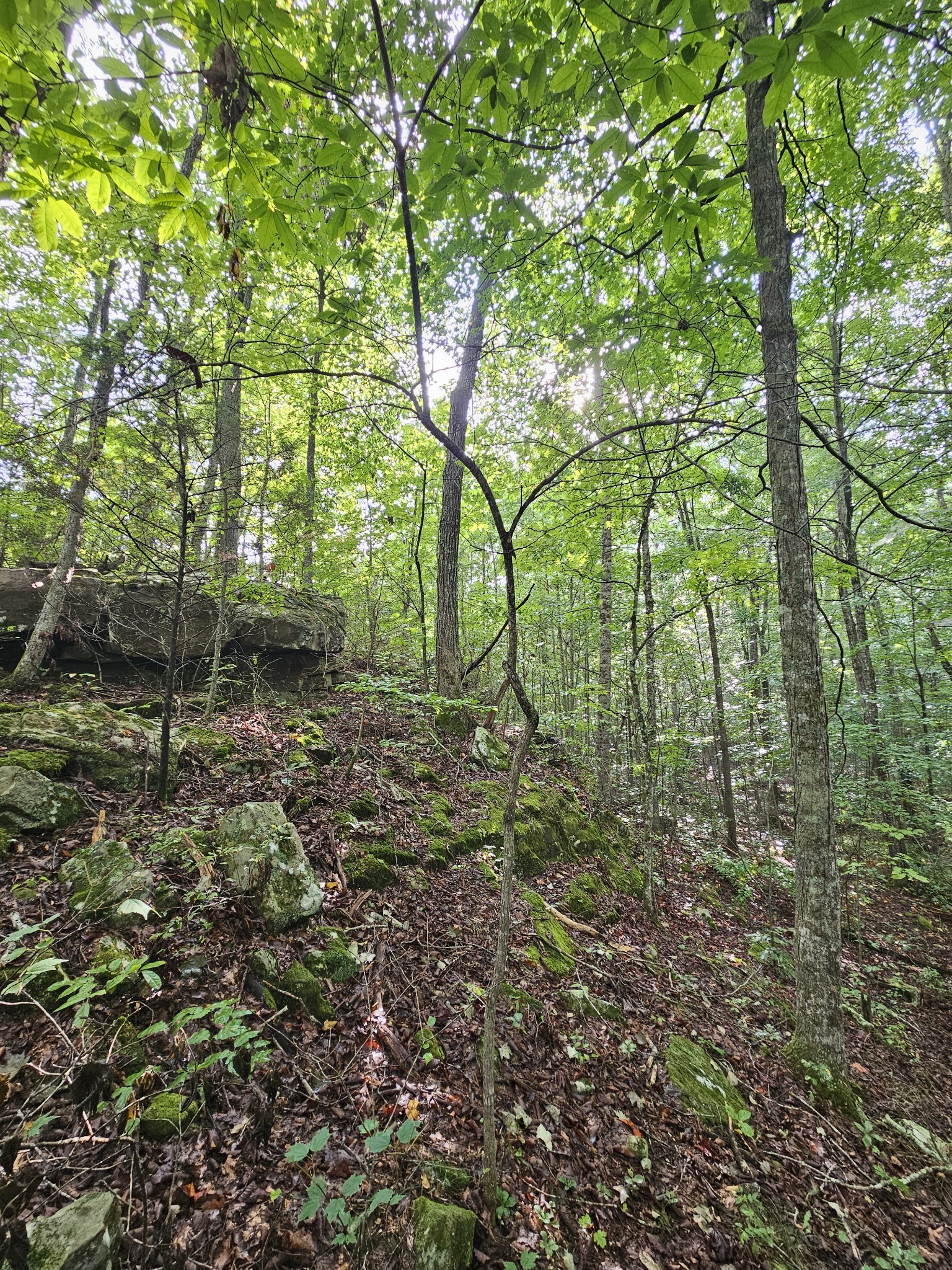 9 Myers Town Road Property Photo 30