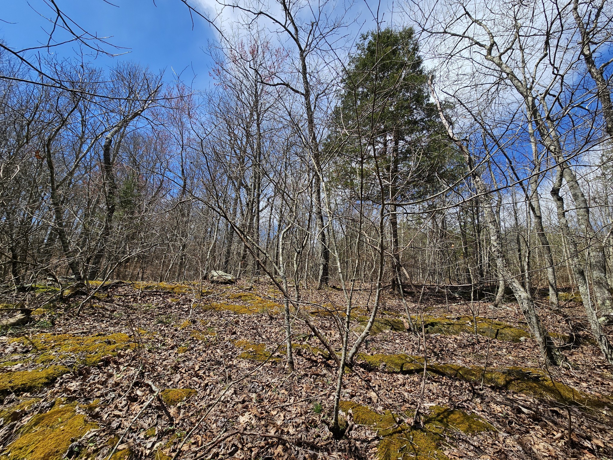 9 Myers Town Road Property Photo 32