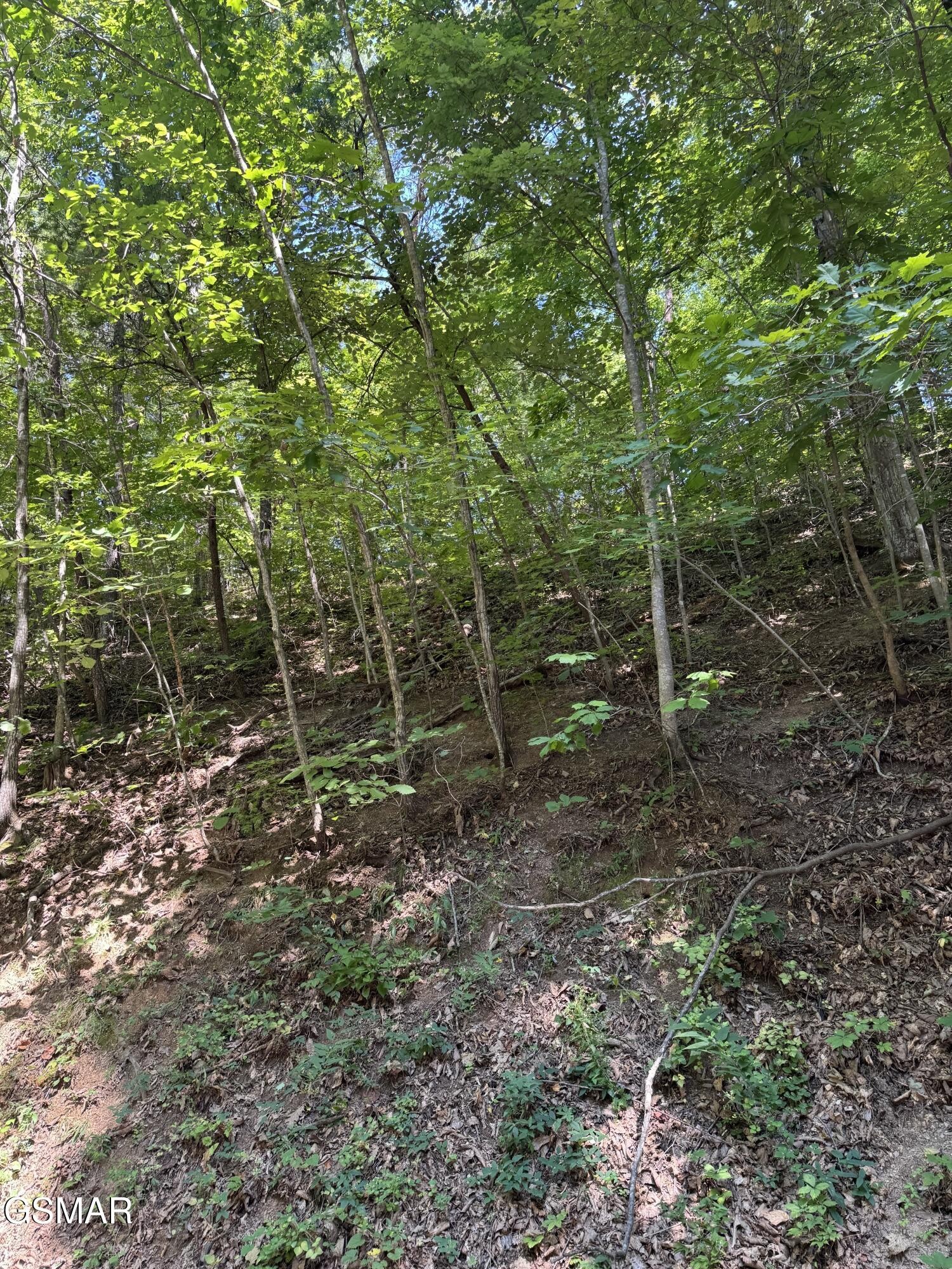 0 Progress Hill Drive Property Photo 1
