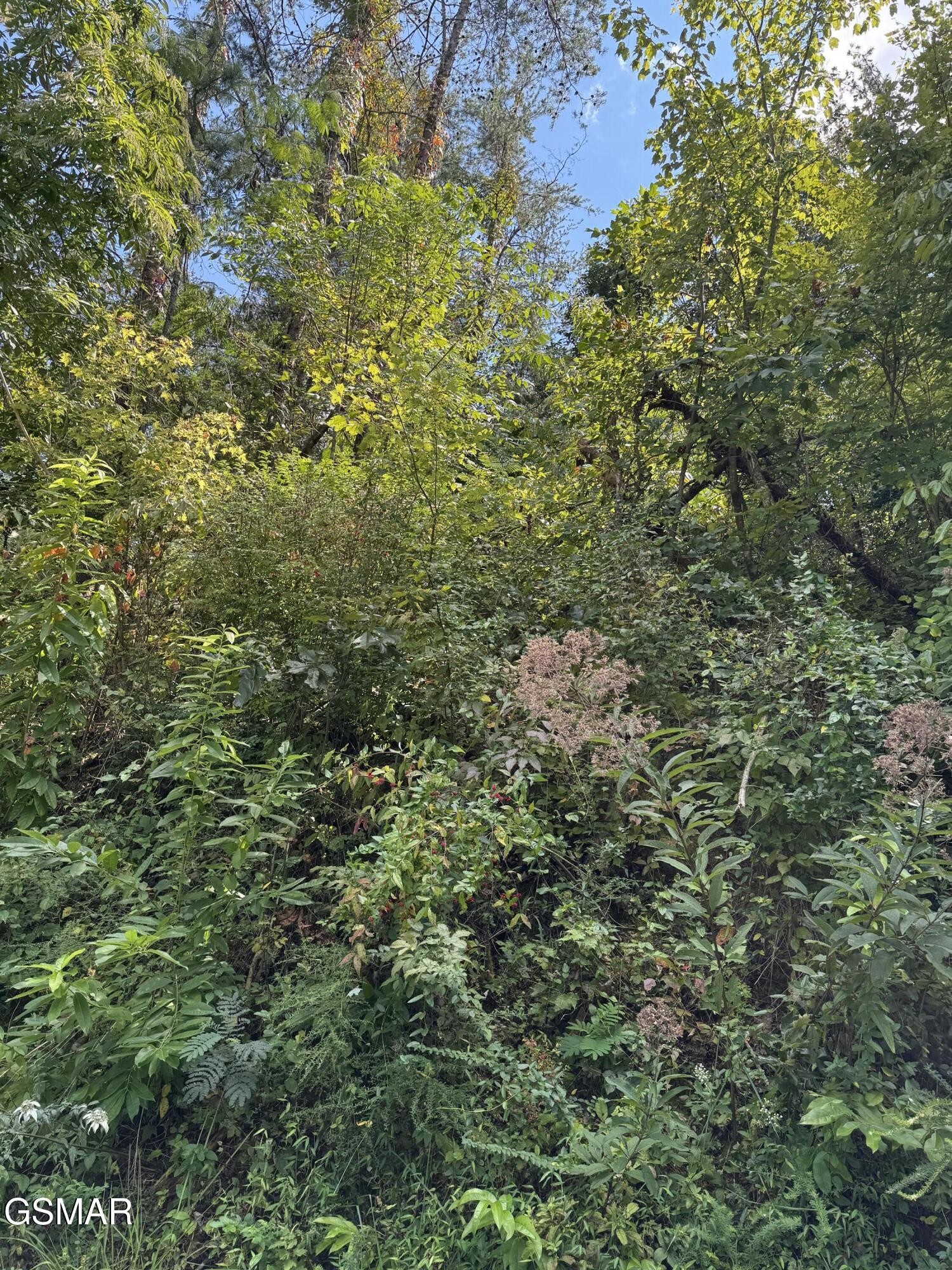 0 Progress Hill Boulevard Property Photo 1