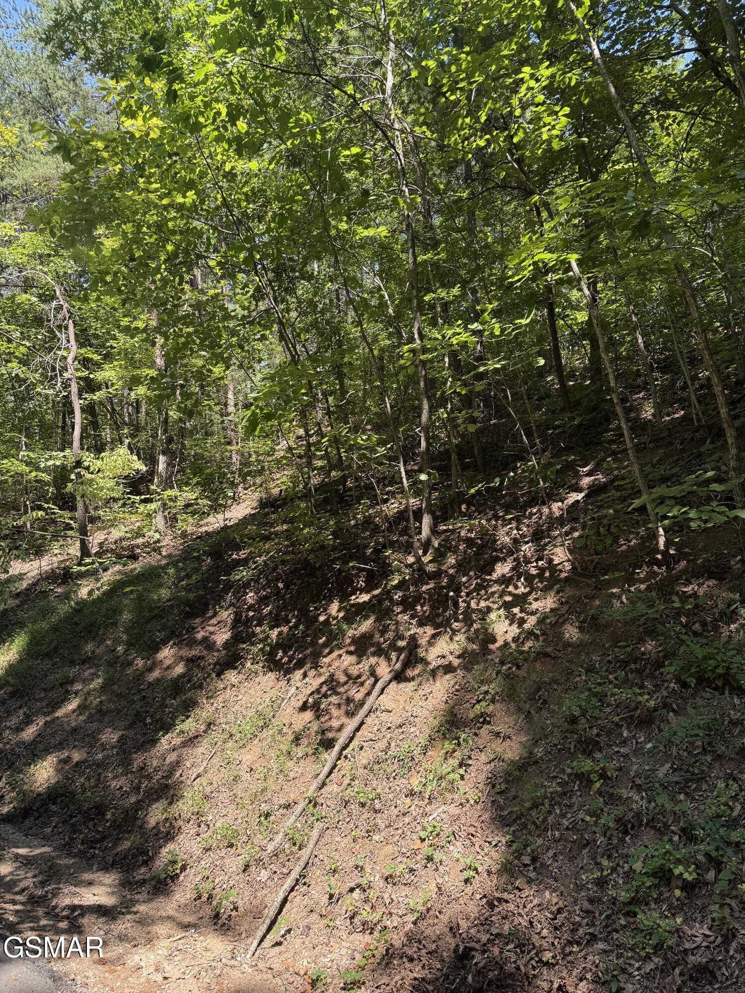 0 Progress Hill Boulevard Property Photo 1