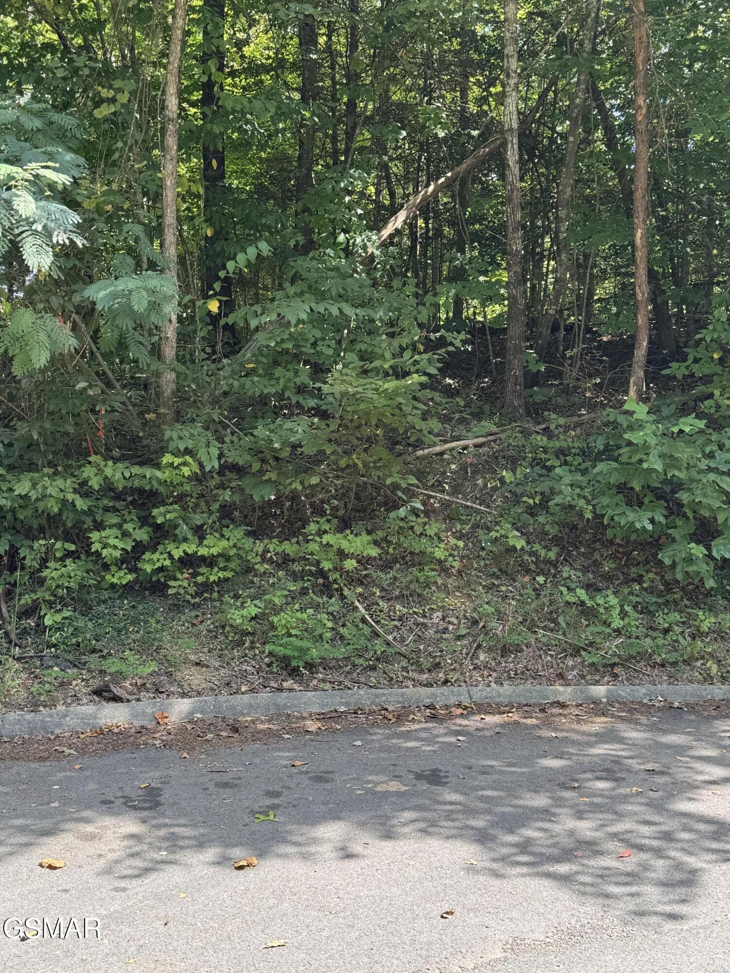 0 SB Ogle Lane Property Photo 1