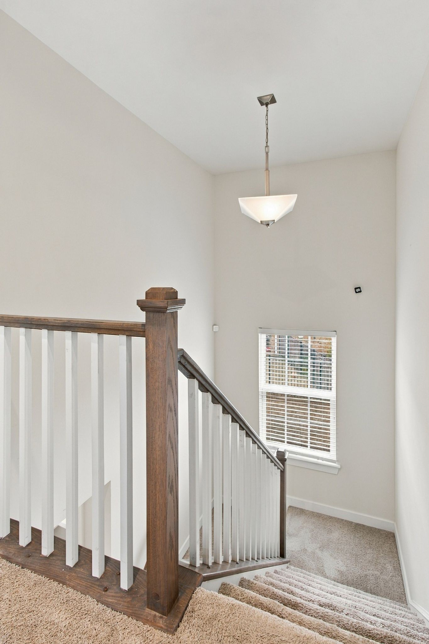304 Finnegan Ct Property Photo 17