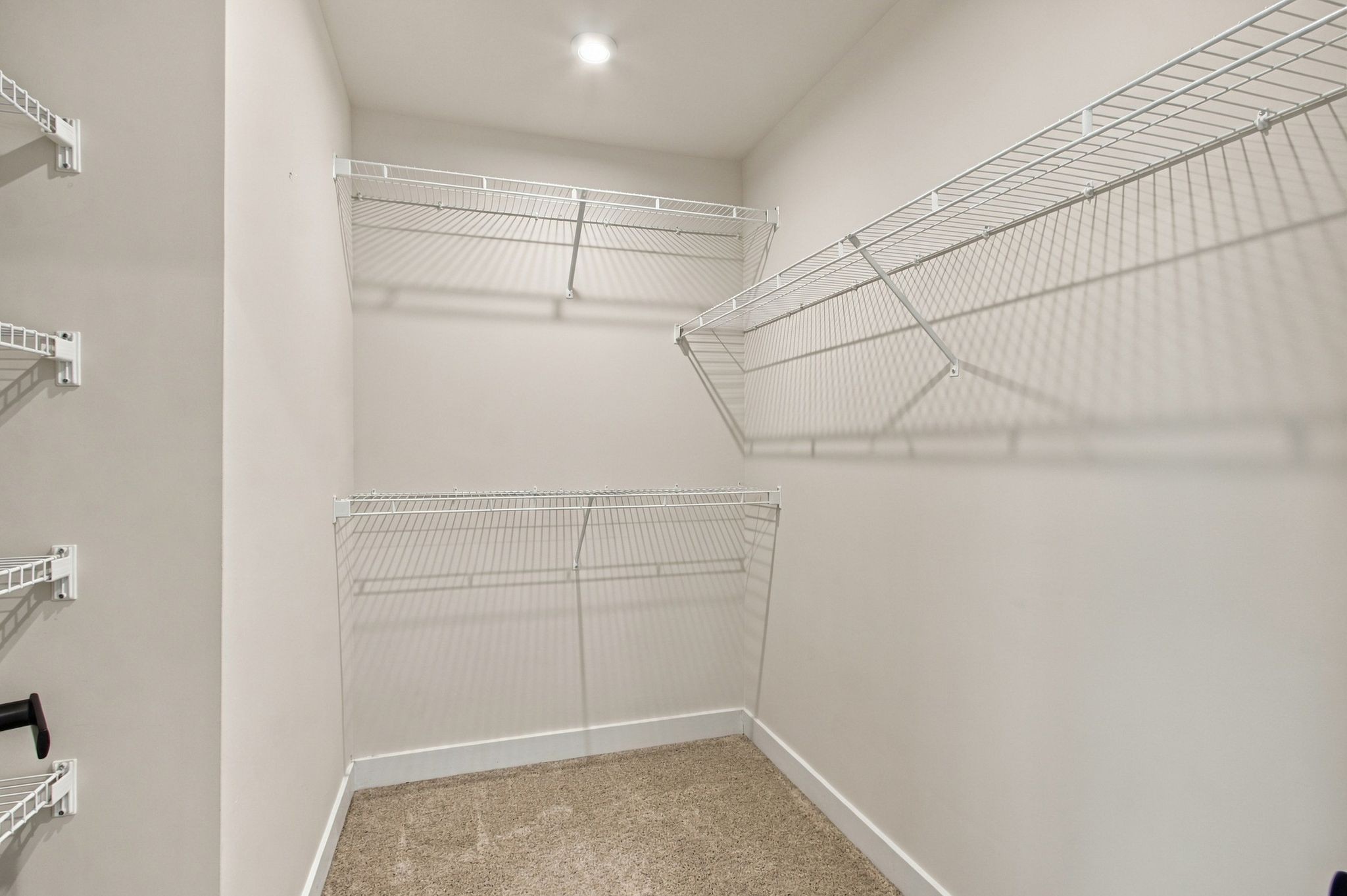 304 Finnegan Ct Property Photo 23