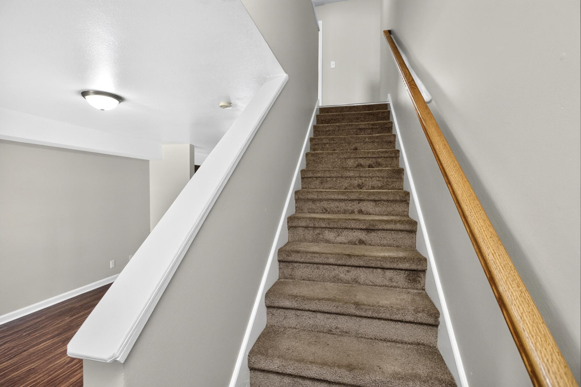 792 Cherrybark Ln Property Photo 14