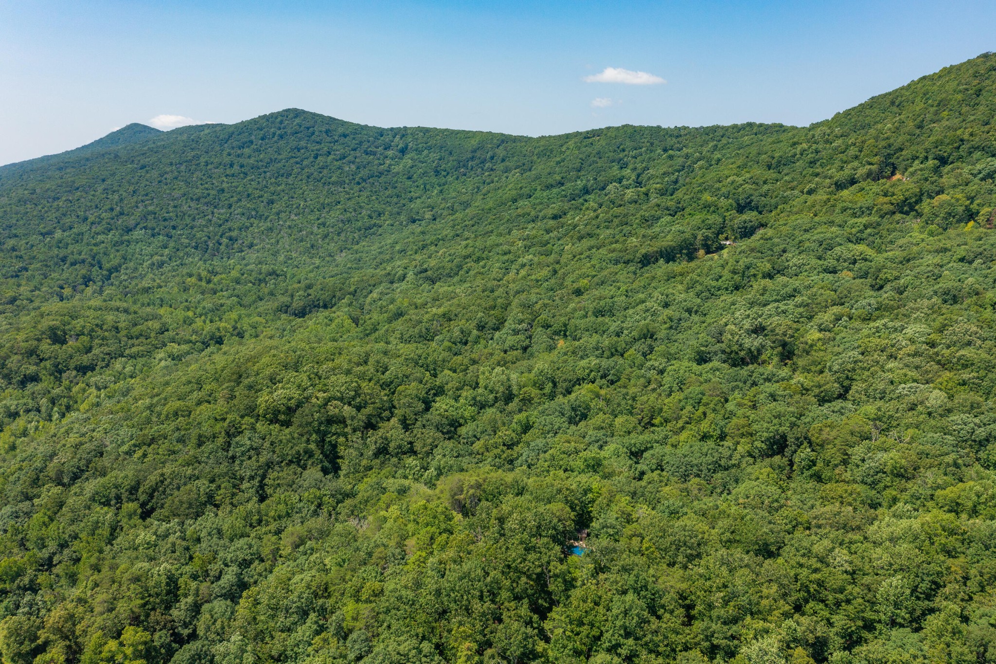 1558 Powder Springs Circle Property Photo 42