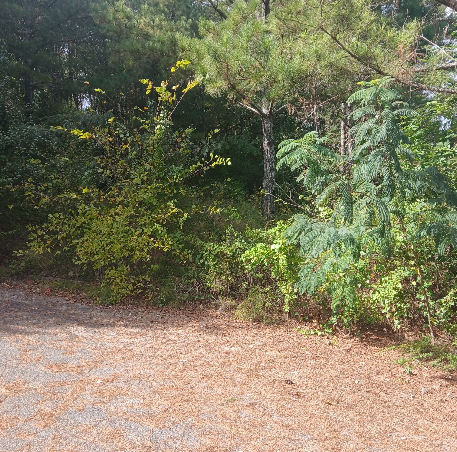110 Savannah Cove Property Photo 1