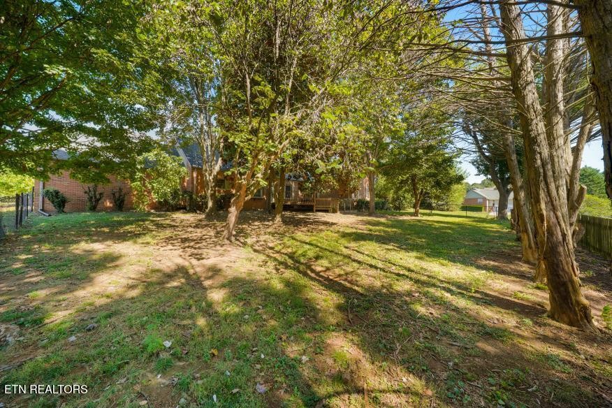 1210 Briar Lea Property Photo 37