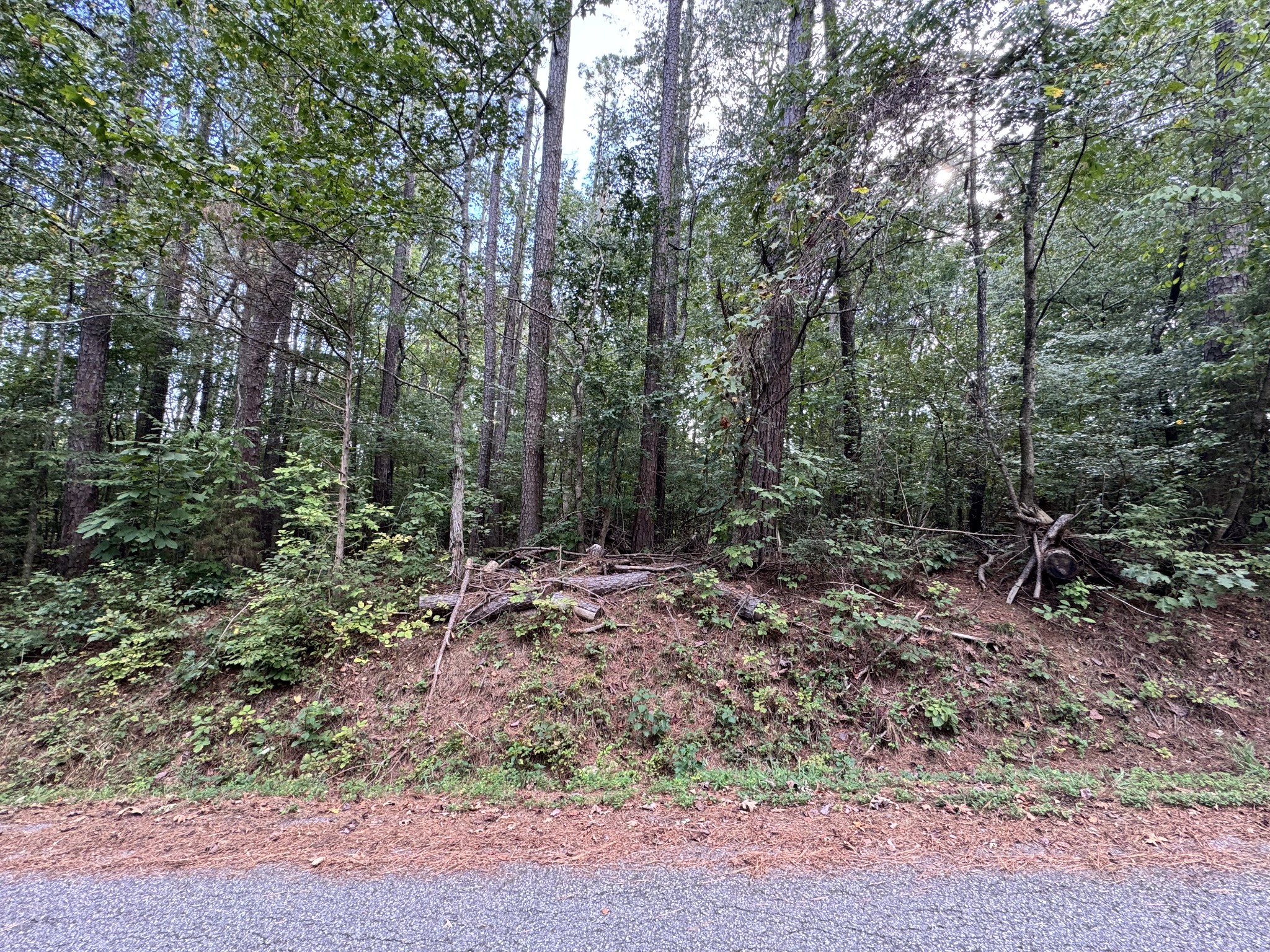 0 Forest Trail Property Photo 1