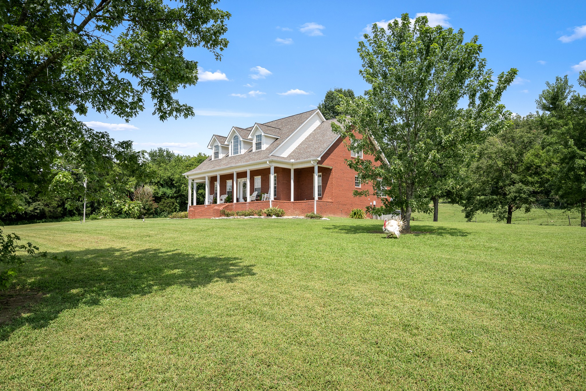 206 Hickerson Road Property Photo 6