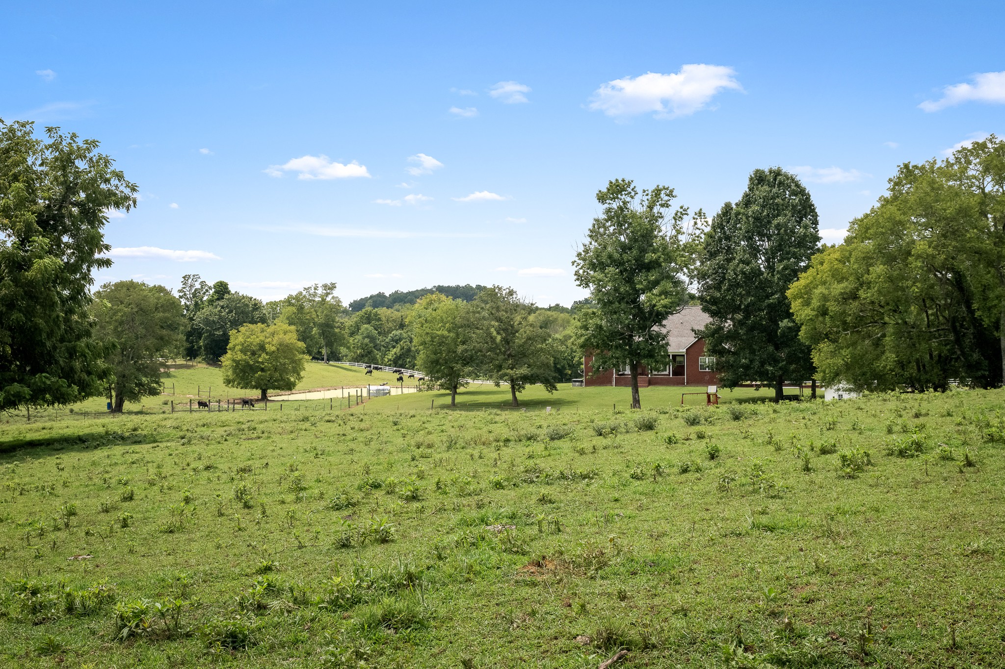 206 Hickerson Road Property Photo 77