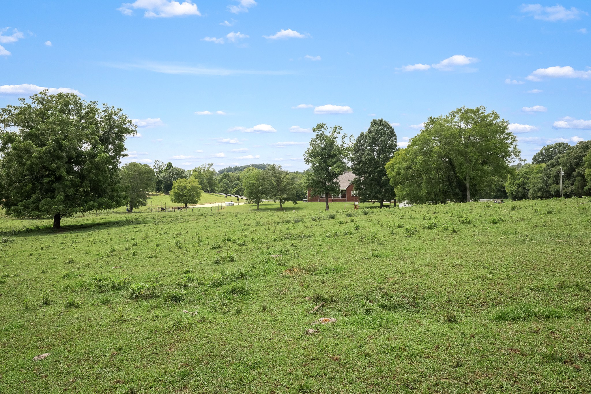 206 Hickerson Road Property Photo 82