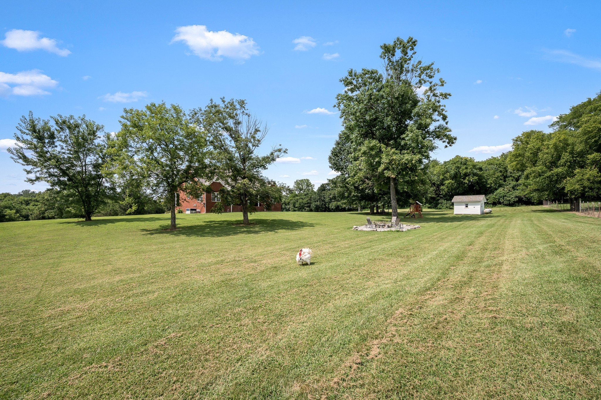 206 Hickerson Road Property Photo 86