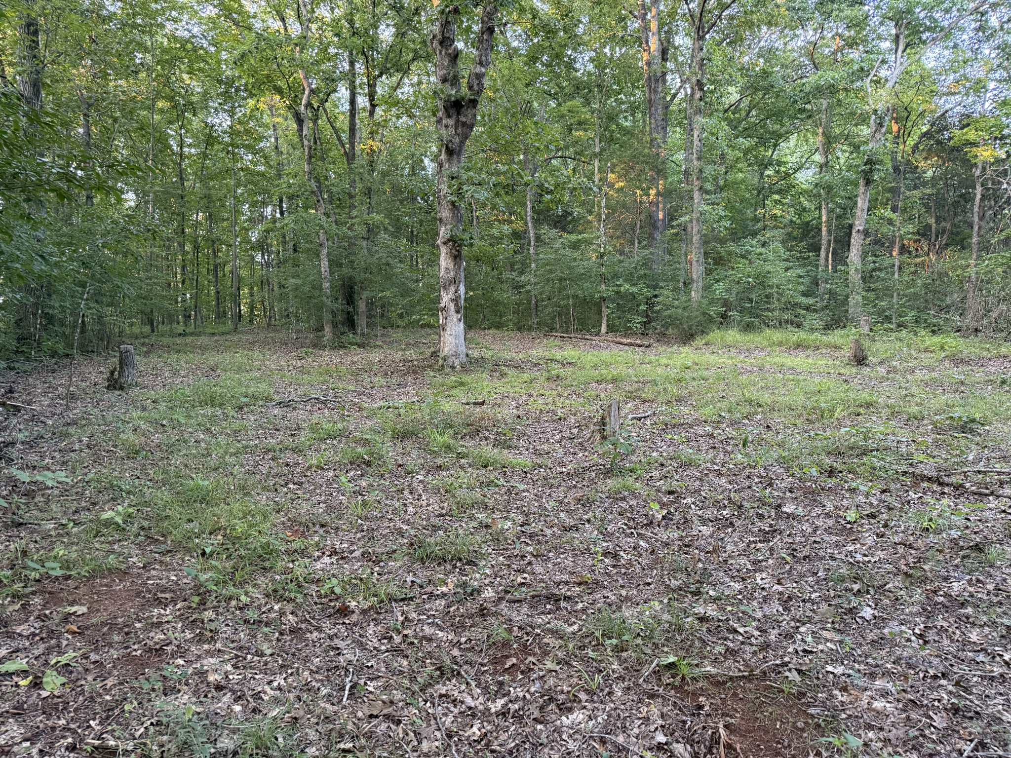1614 Warner Bridge Rd Property Photo 81
