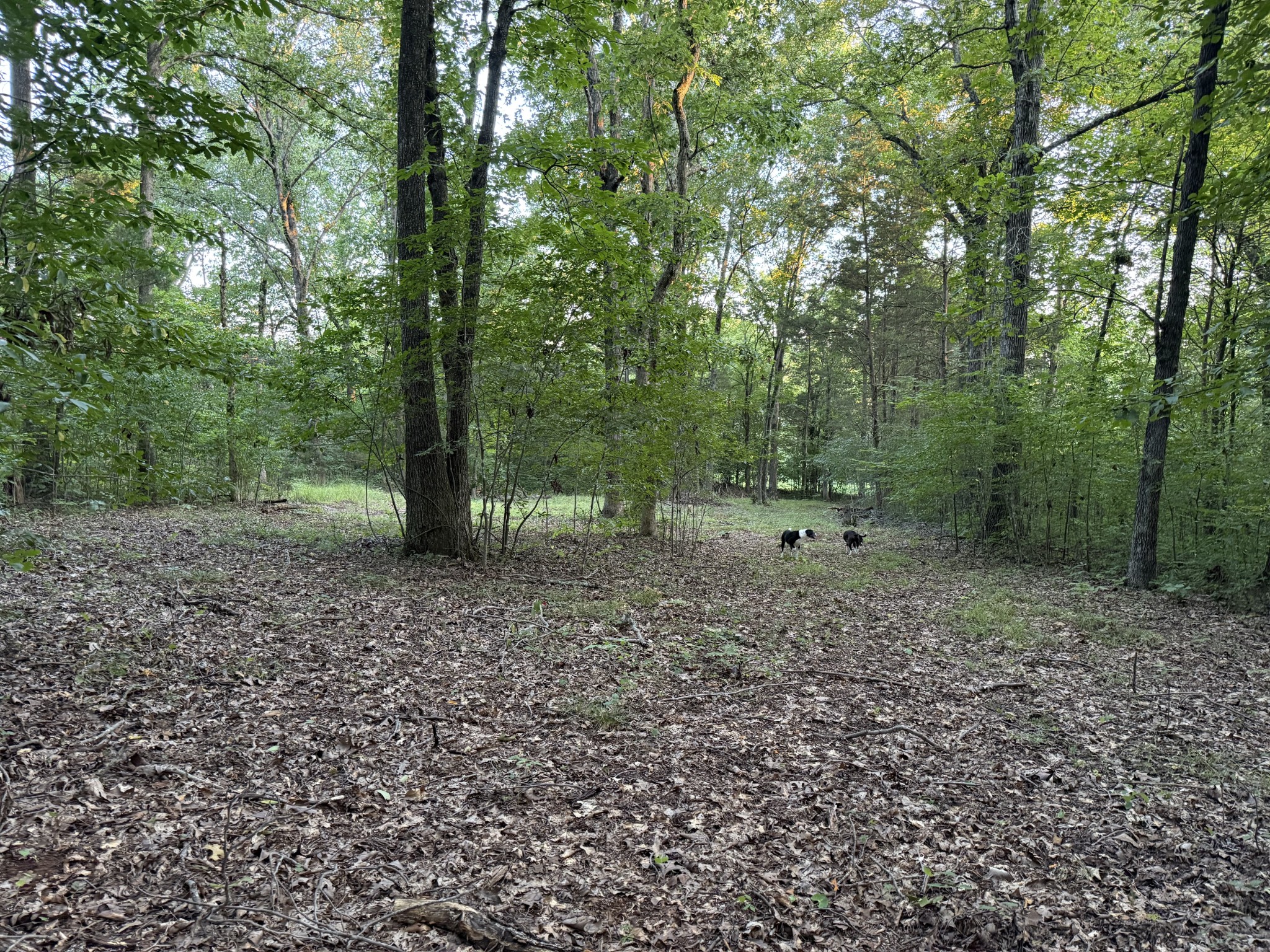 1614 Warner Bridge Rd Property Photo 84
