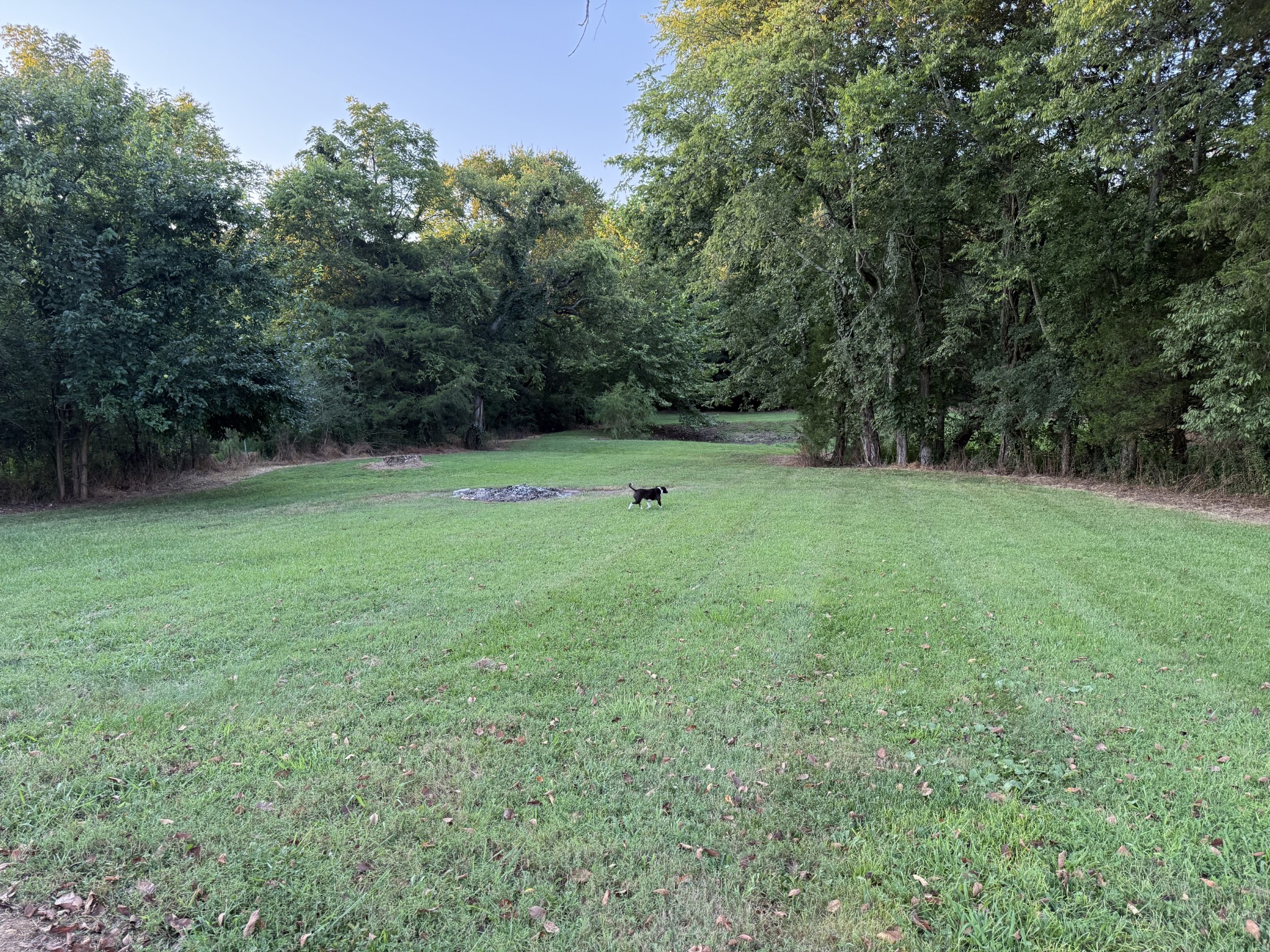 1614 Warner Bridge Rd Property Photo 85