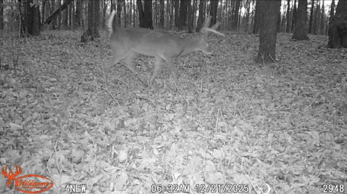 1614 Warner Bridge Rd Property Photo 86