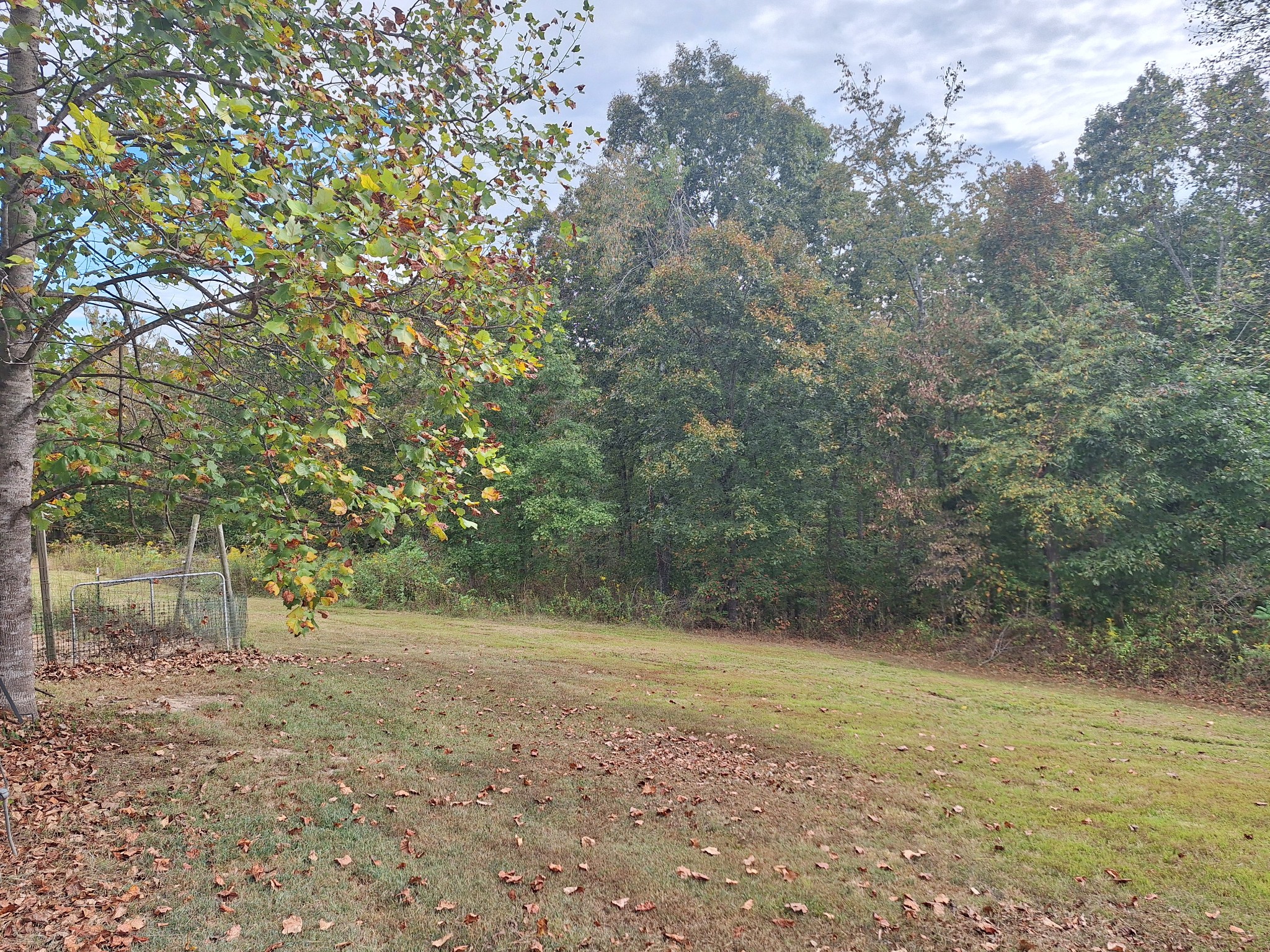 628 Mink Branch Acres Dr Property Photo 5