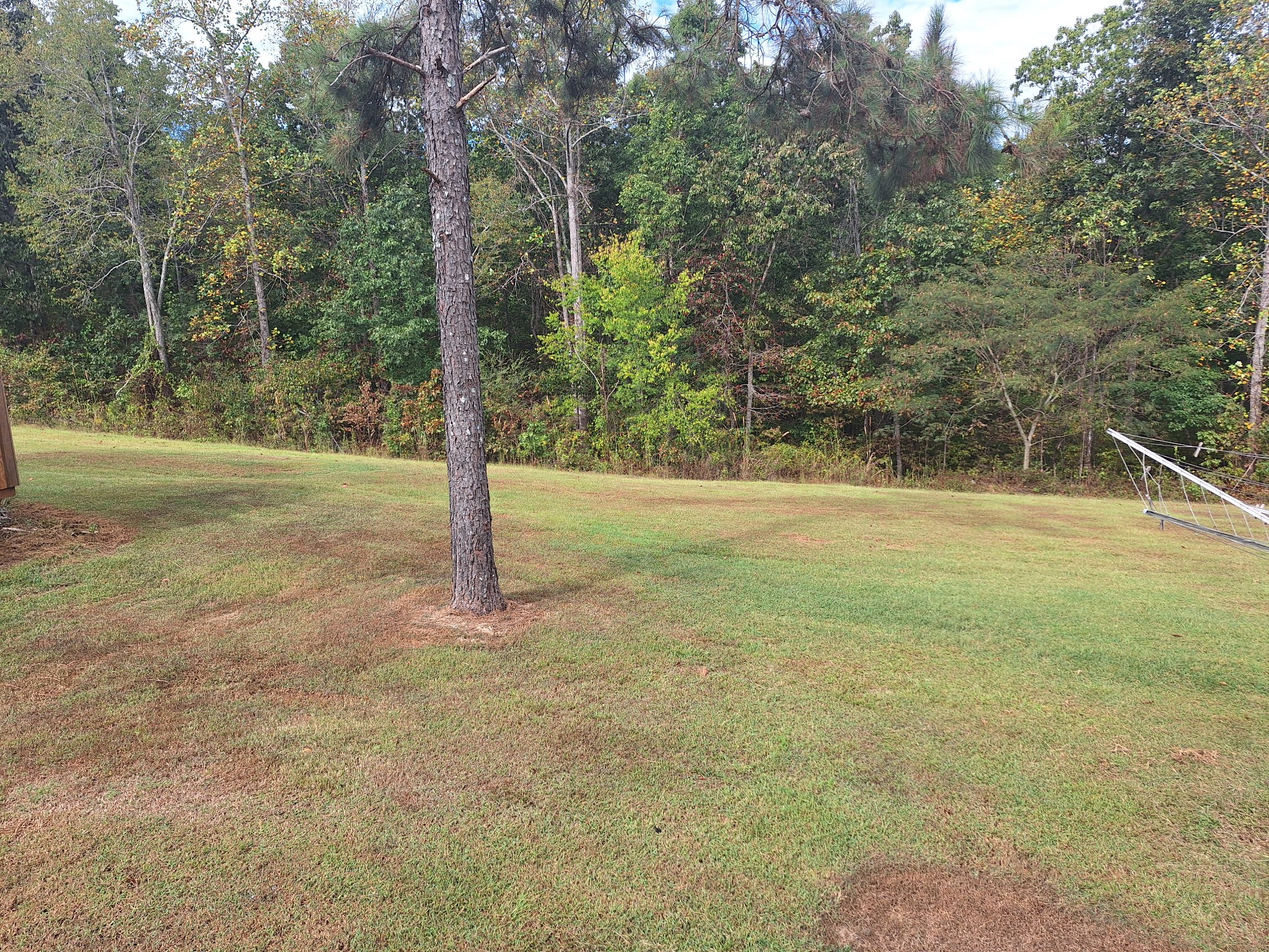 628 Mink Branch Acres Dr Property Photo 6