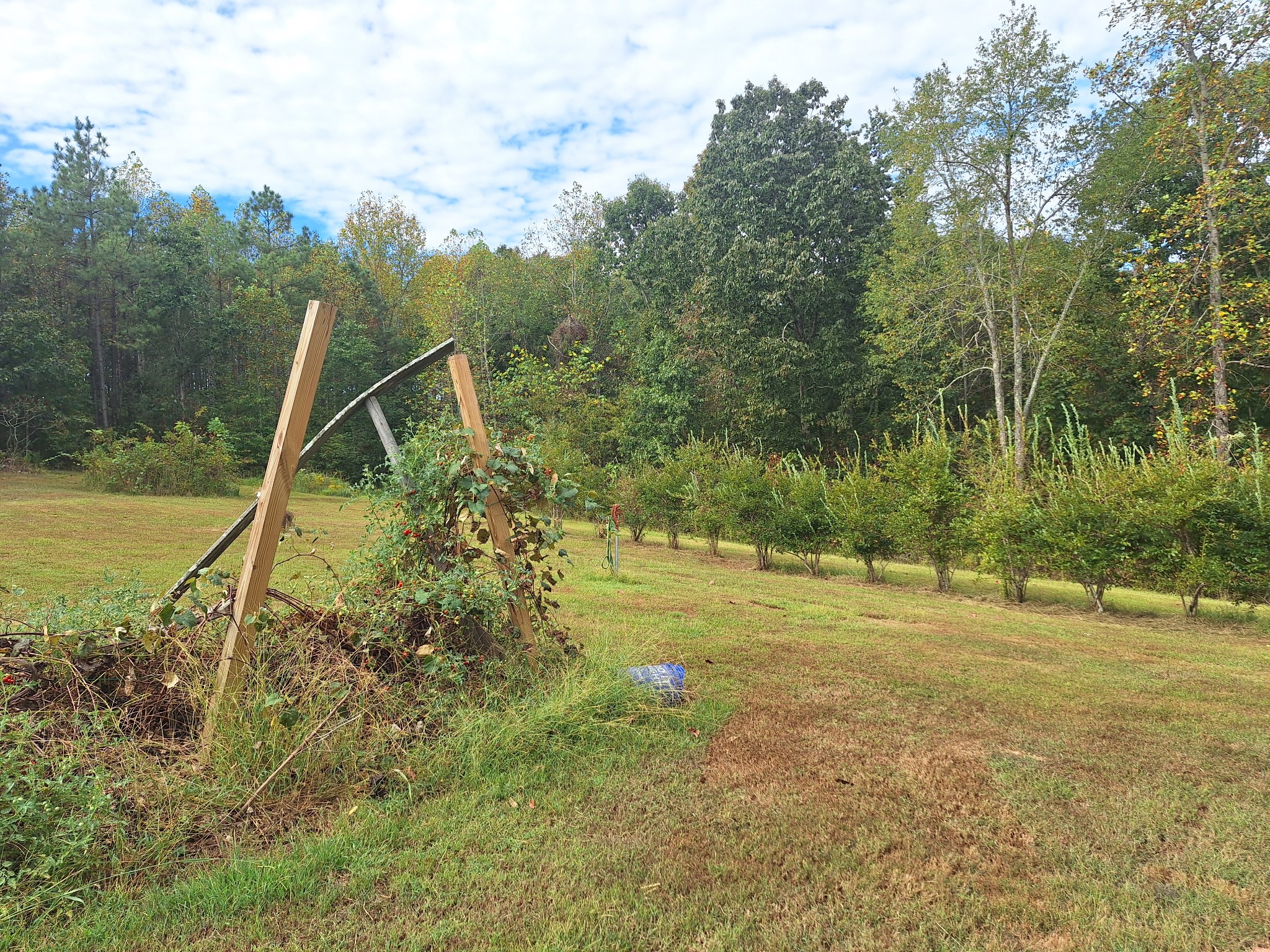 628 Mink Branch Acres Dr Property Photo 8