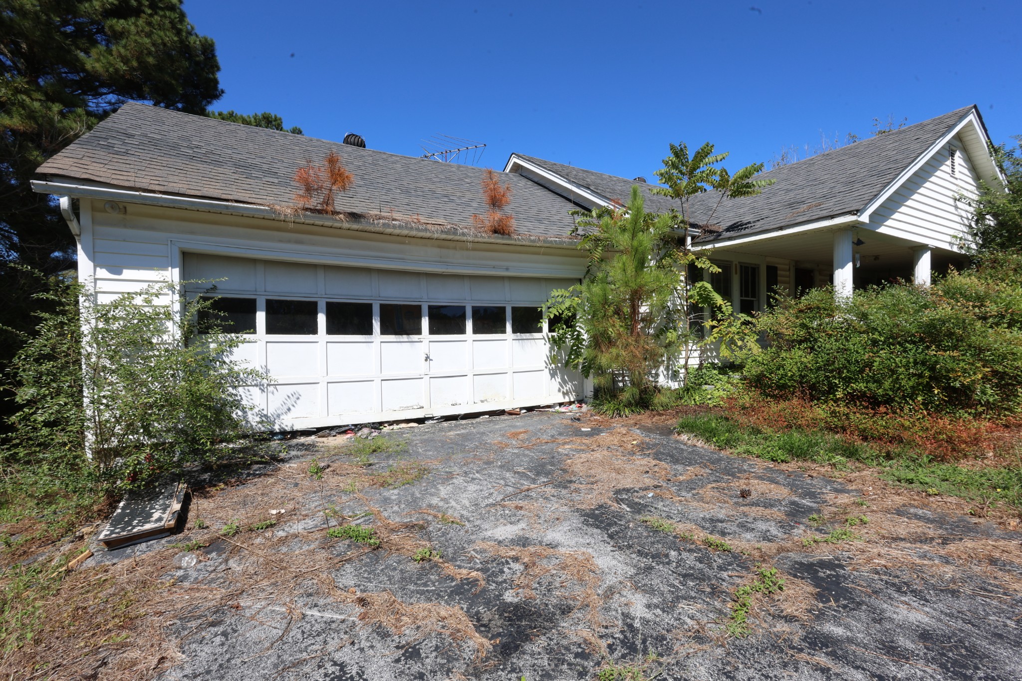 411 Andrew Johnson Hwy Property Photo 8