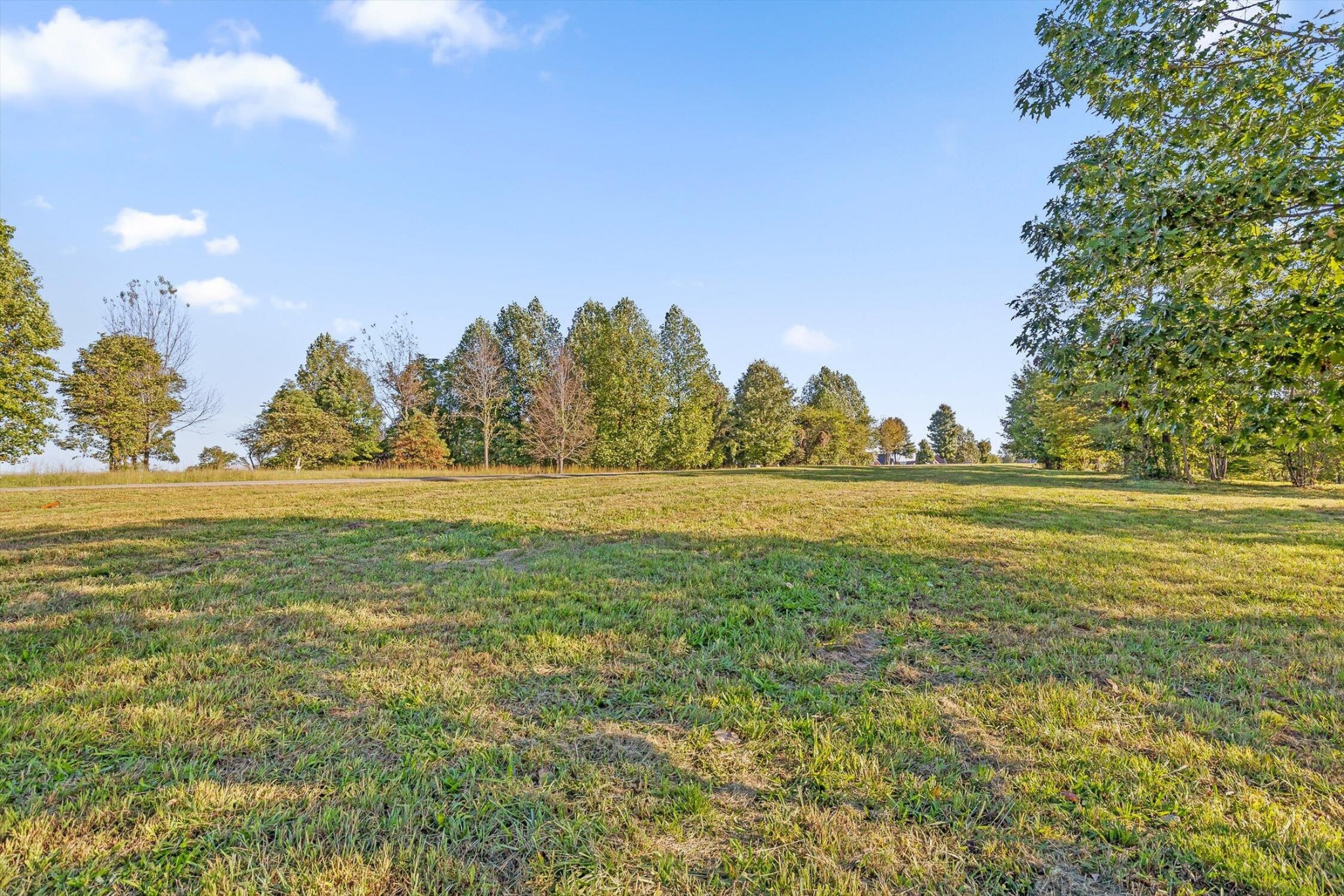 0 Whitetail Way Property Photo 6