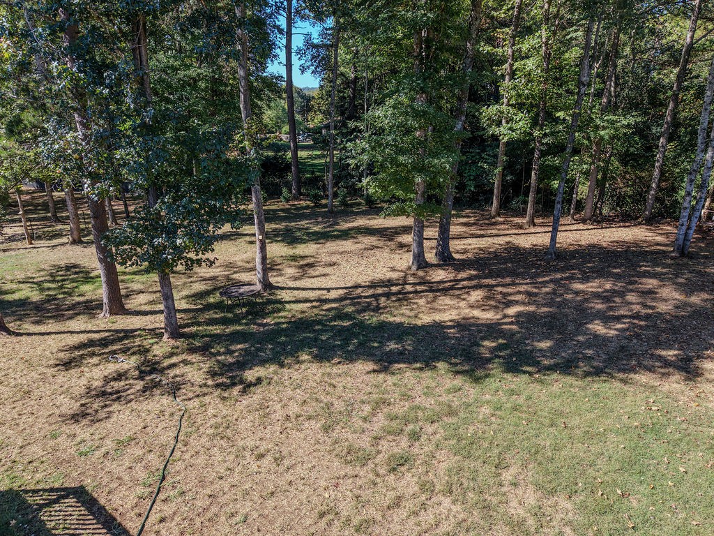 339 Shadows Lawn Dr Property Photo 41