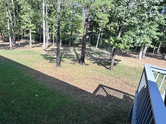 339 Shadows Lawn Dr Property Photo 53