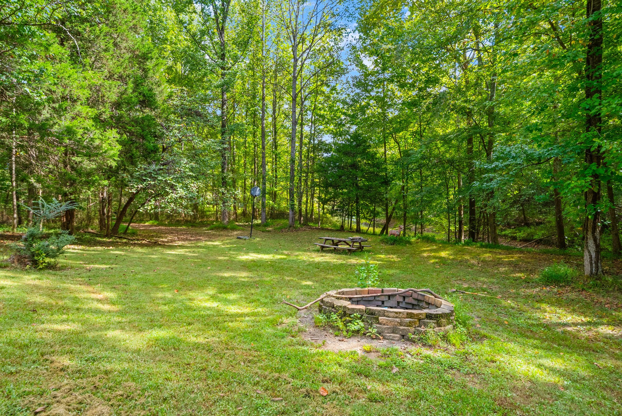 480 Hickman Shores Road Property Photo 46