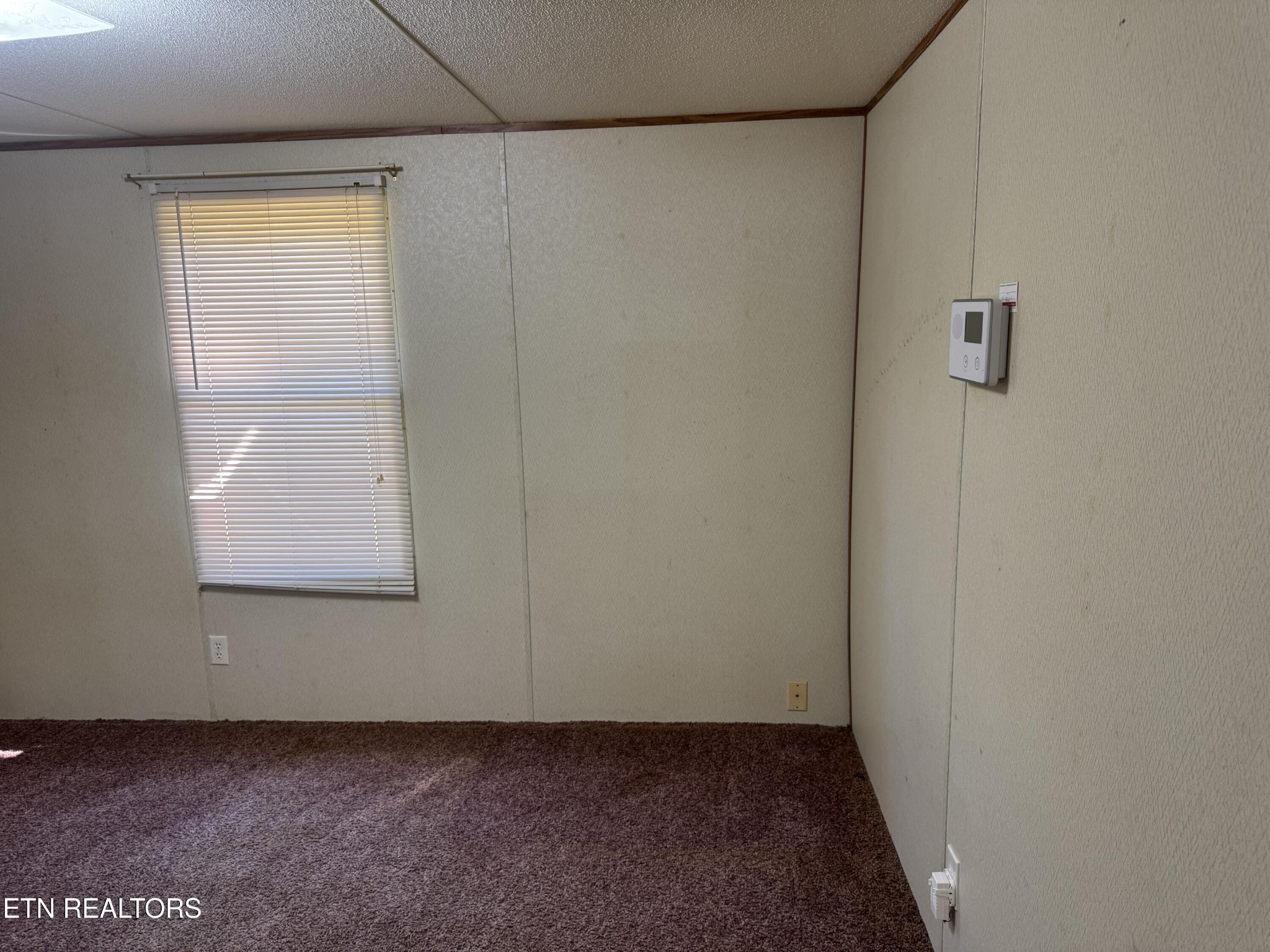 131 Bear Knob Lane Property Photo 12