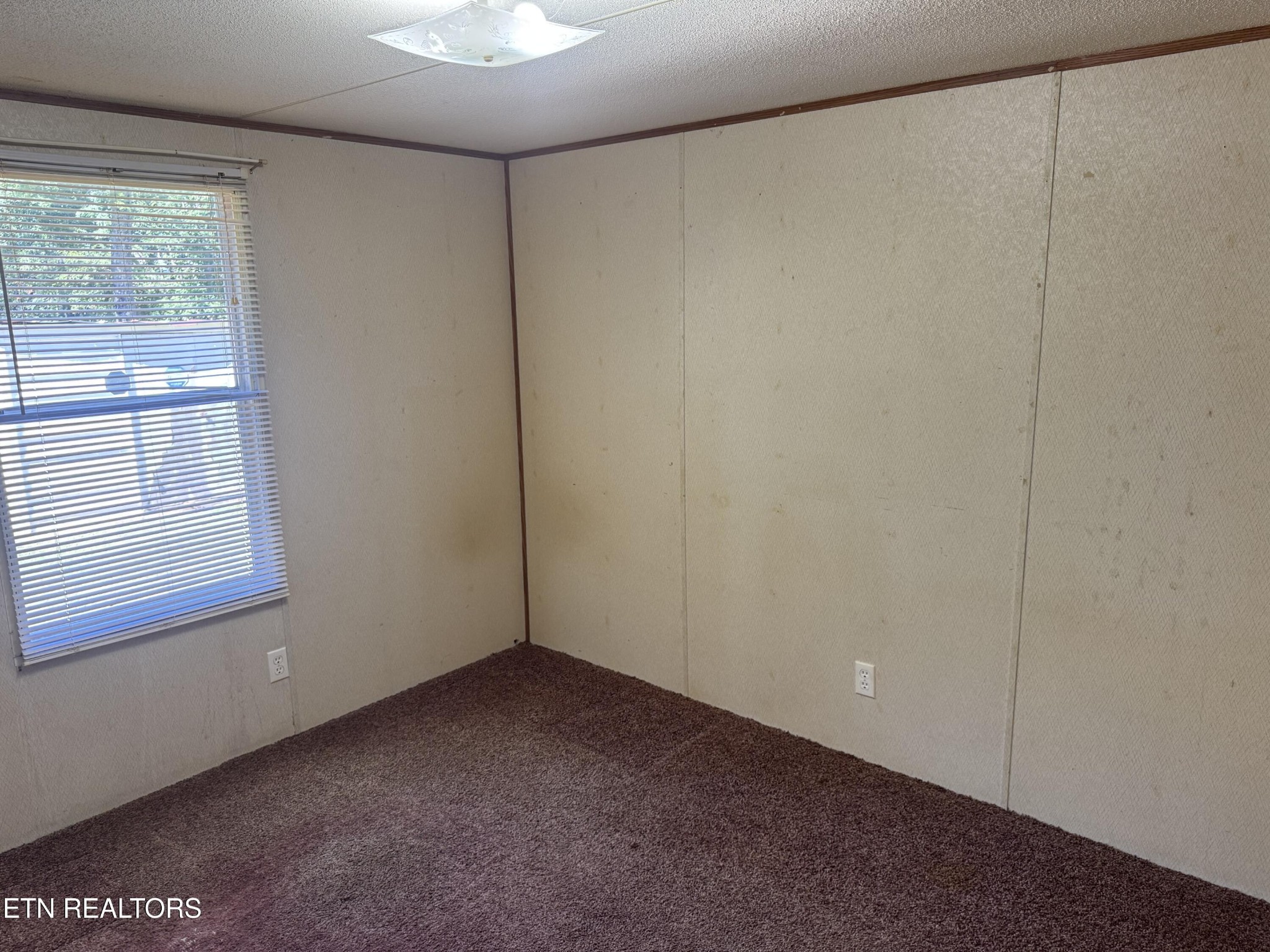 131 Bear Knob Lane Property Photo 15