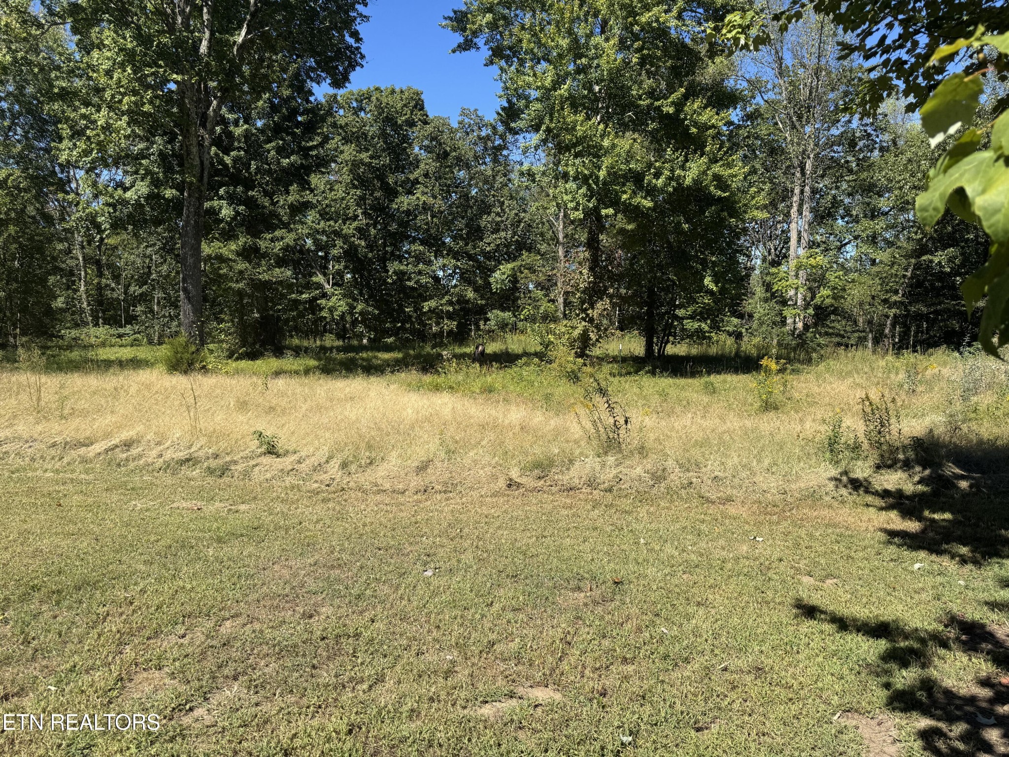 131 Bear Knob Lane Property Photo 22