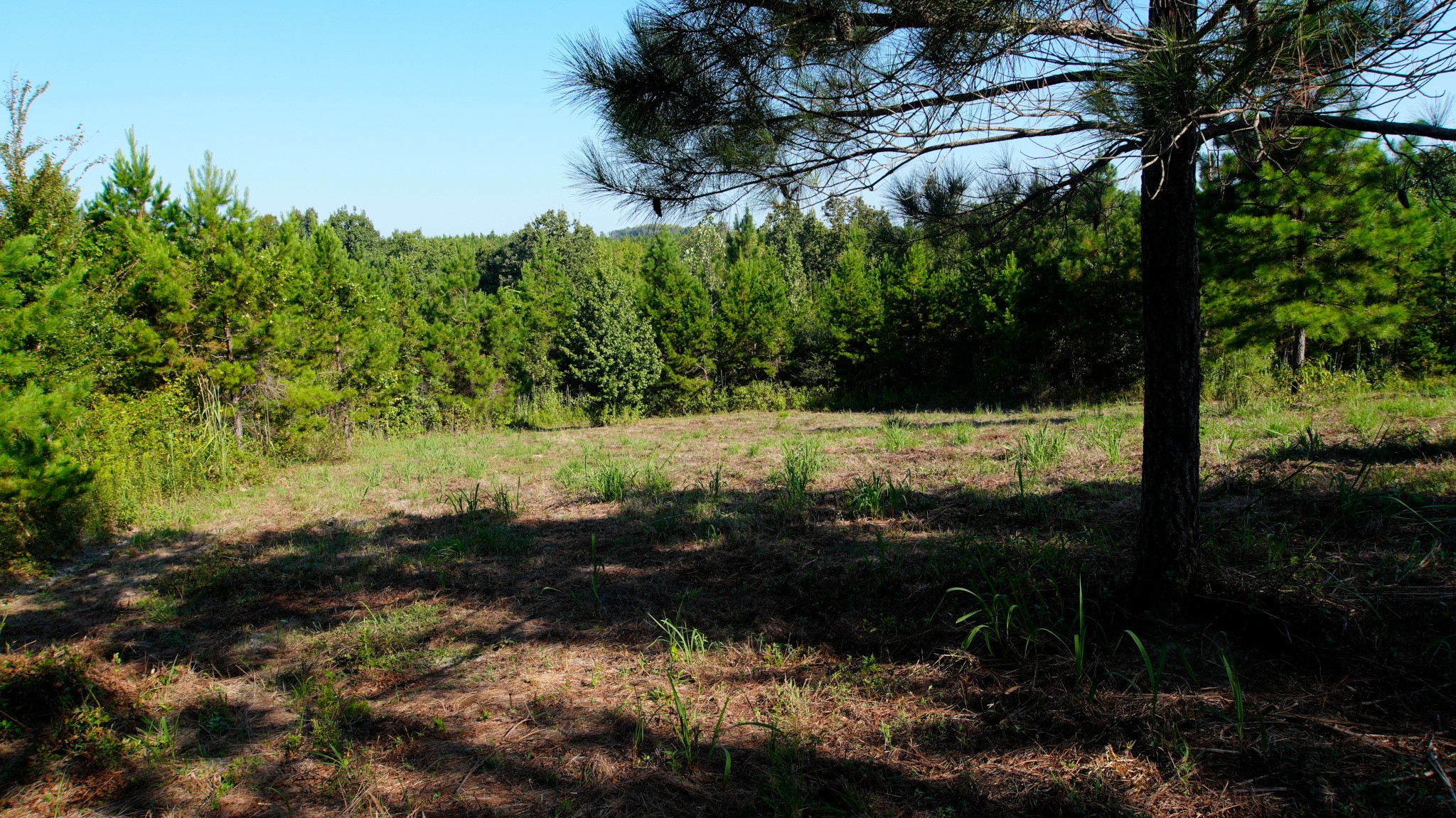1 Ables Road Property Photo 1