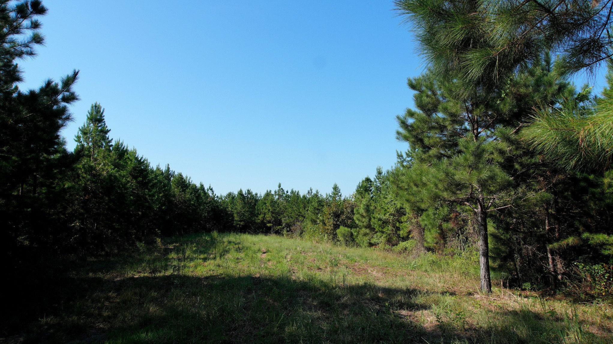 2 Ables Road Property Photo 5