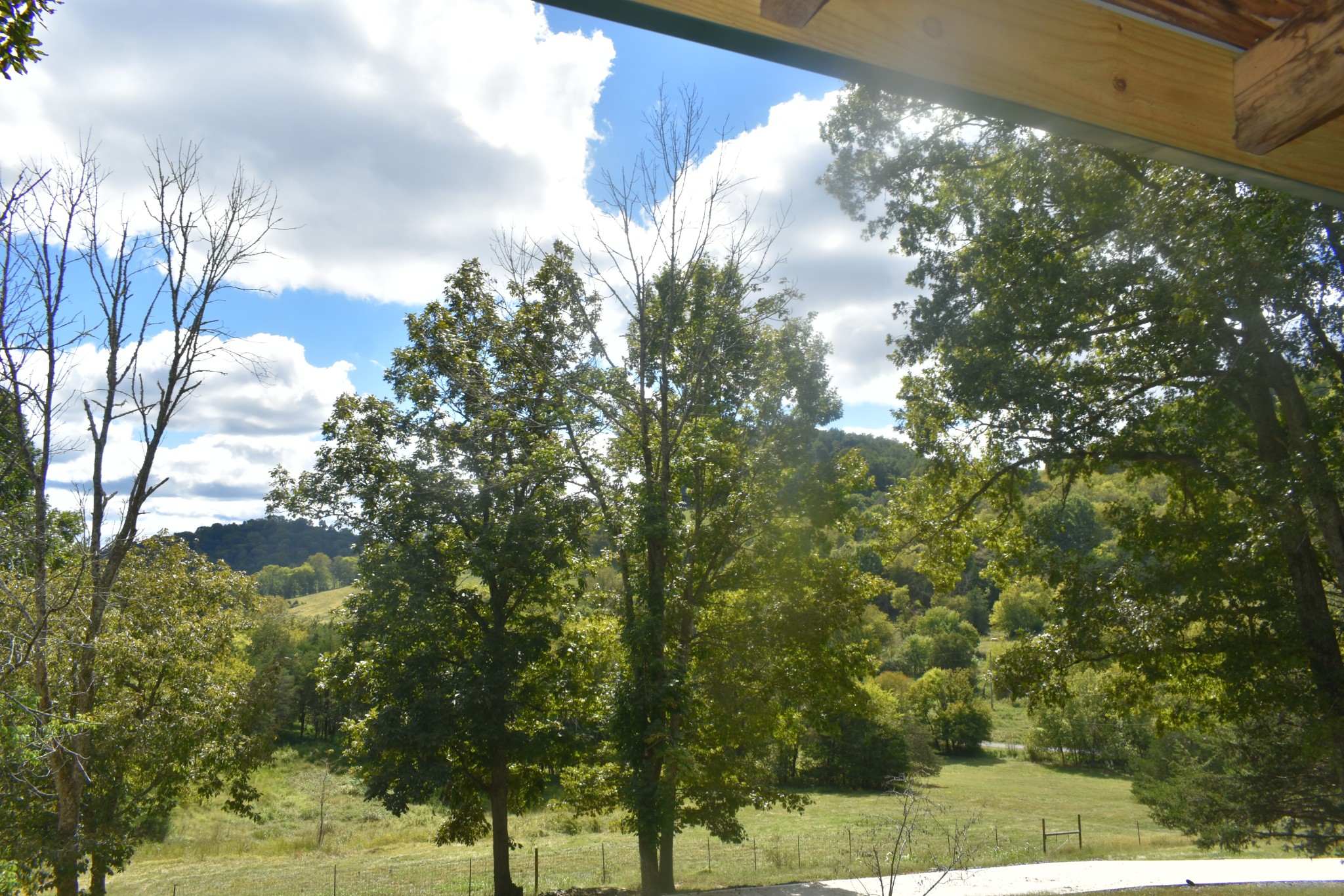 275 Harris Hollow Rd Property Photo 46