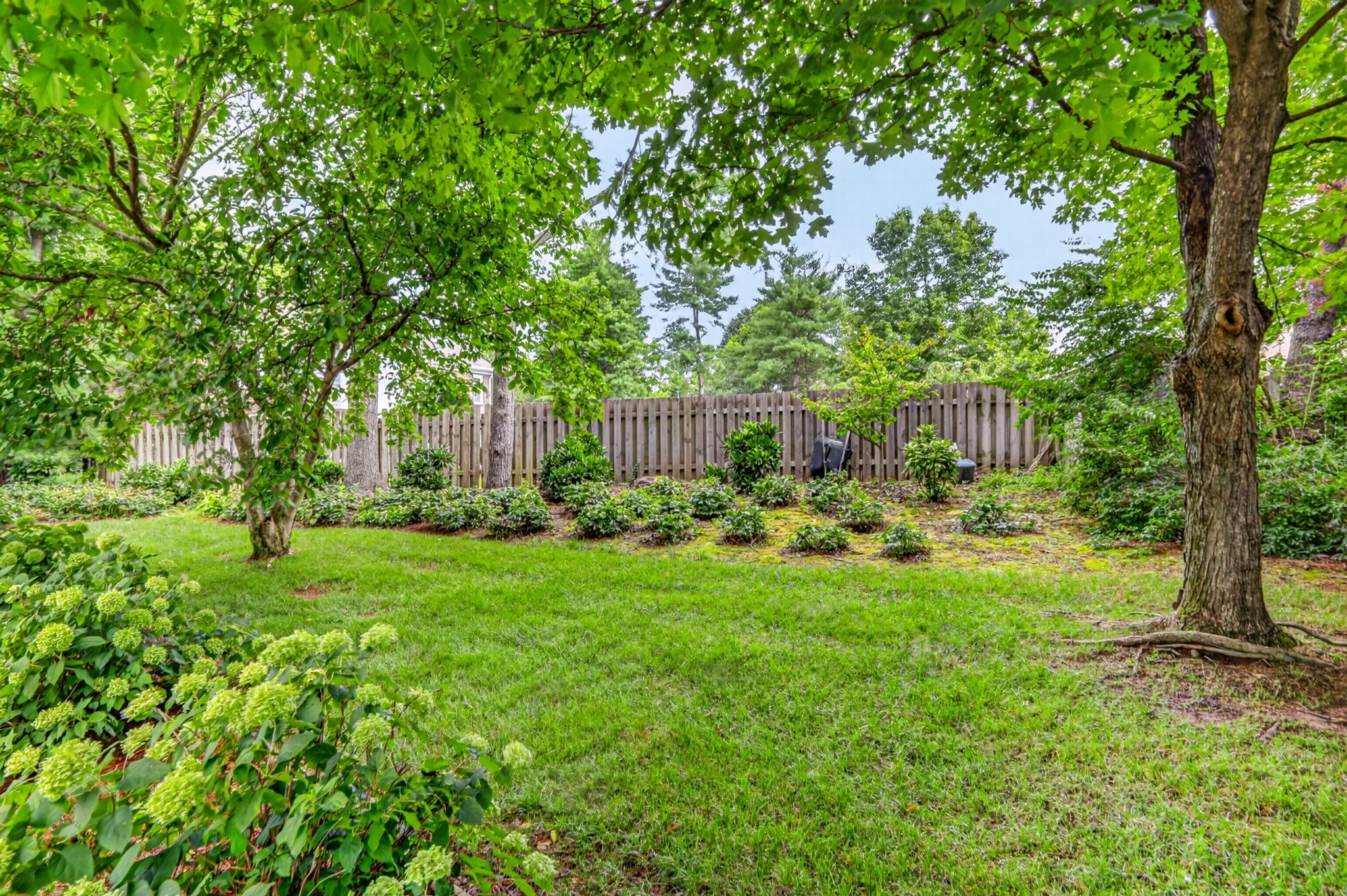 6040 Manor Pl Property Photo 62