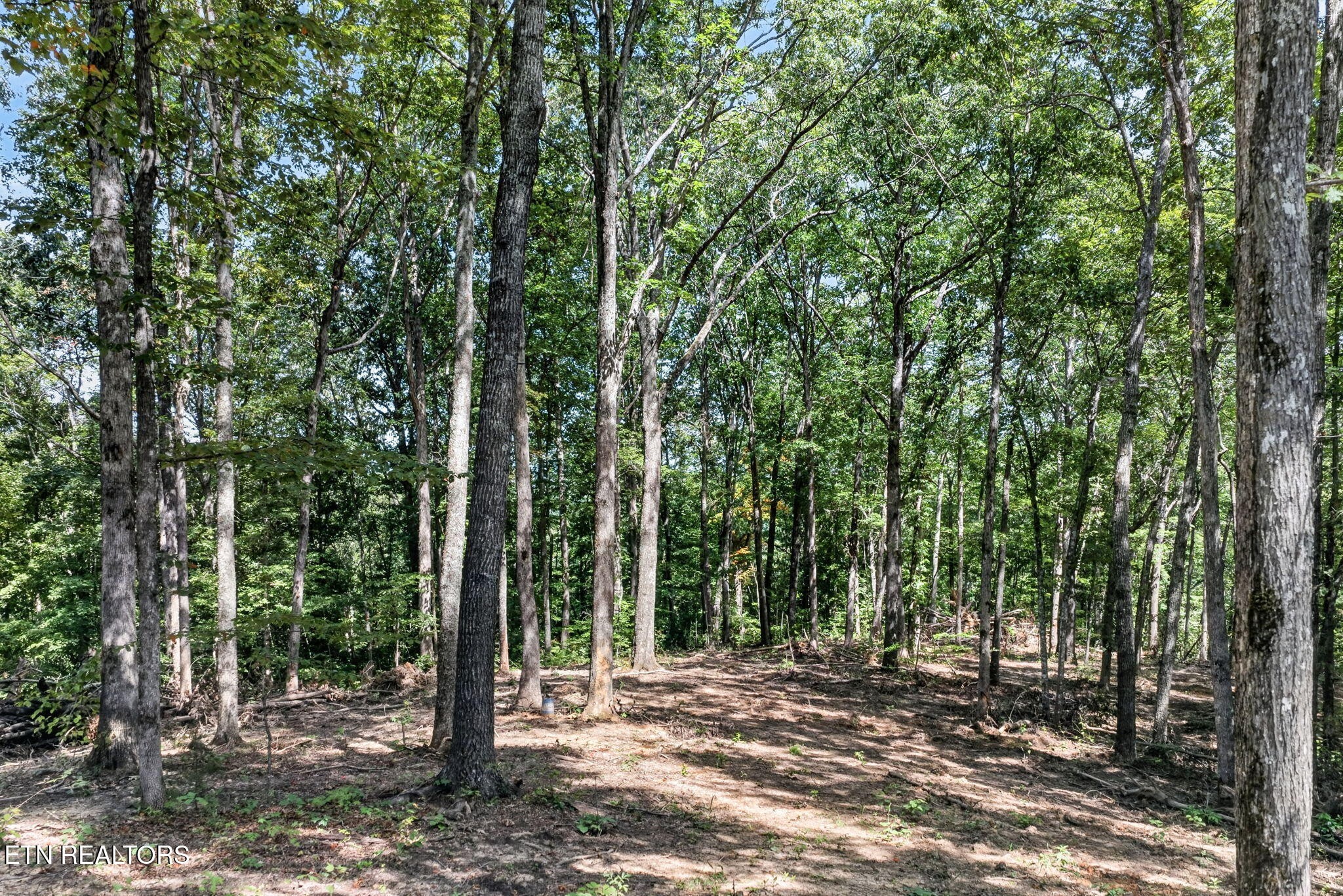 40 Pioneer Trail Lane Property Photo 1