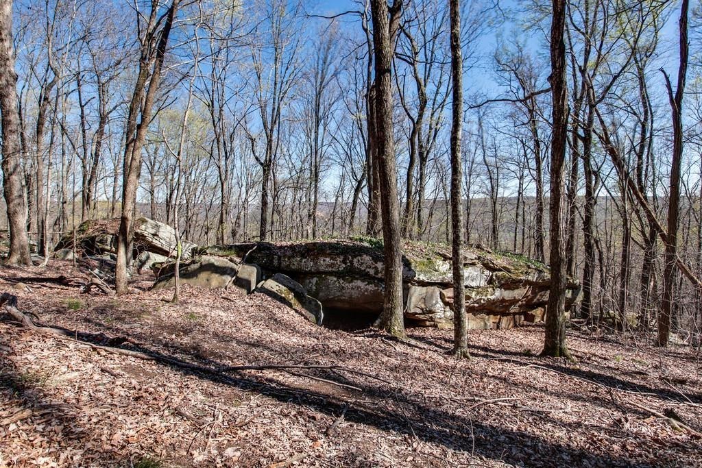 8 Long Mountain Trl Property Photo 1