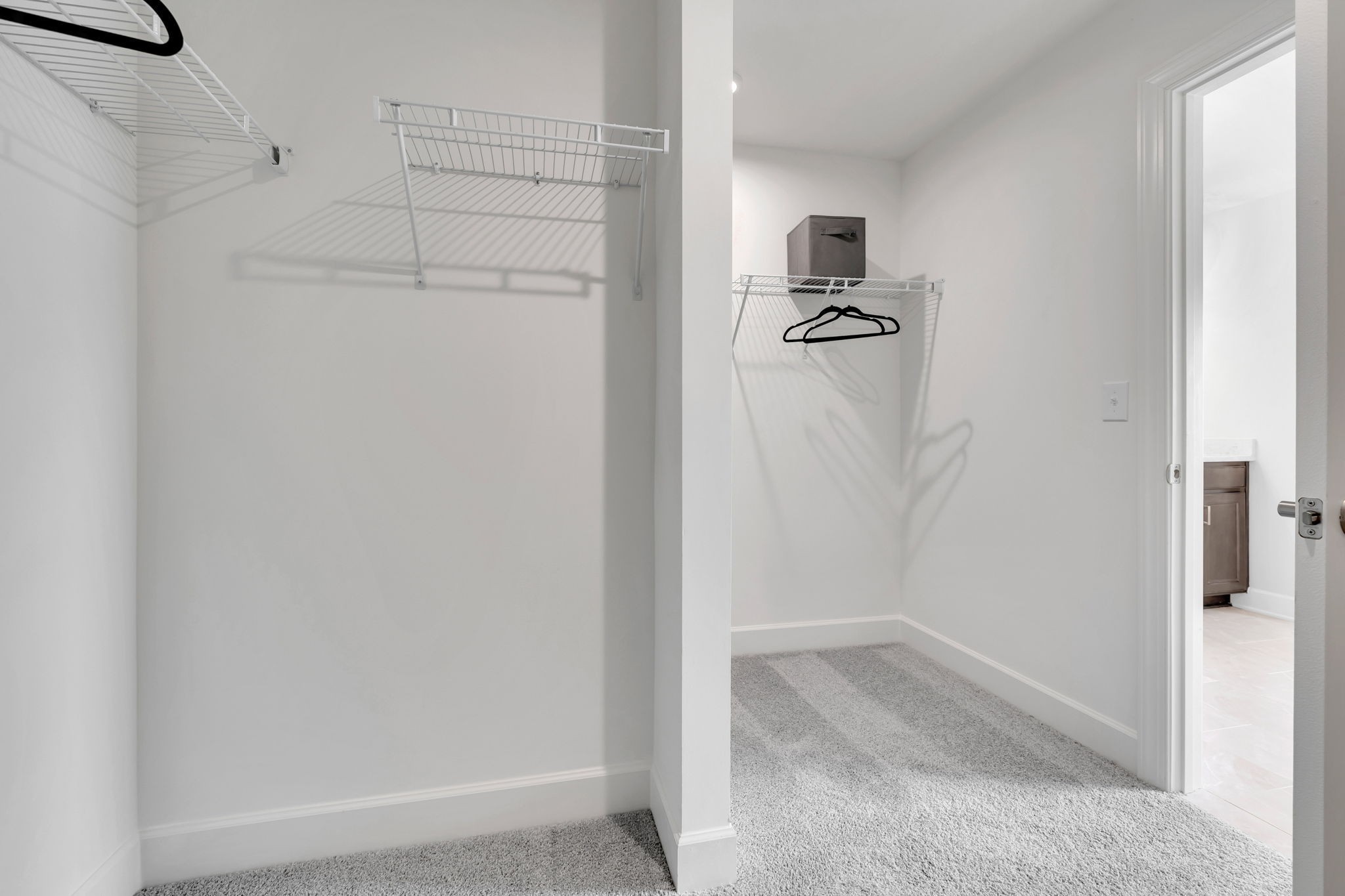 3107 Great Elm Drive Property Photo 49