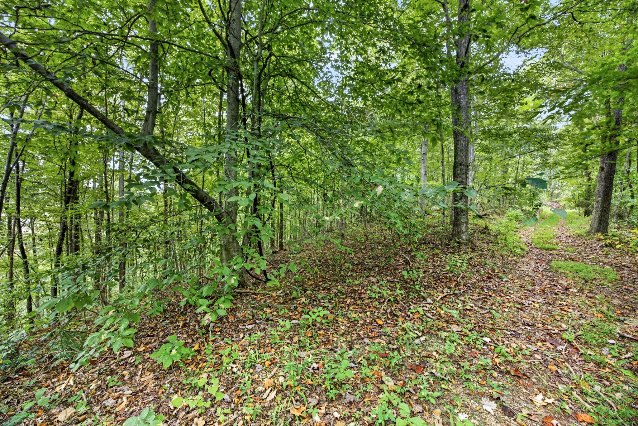 0 Timber Ridge Lane Property Photo 1