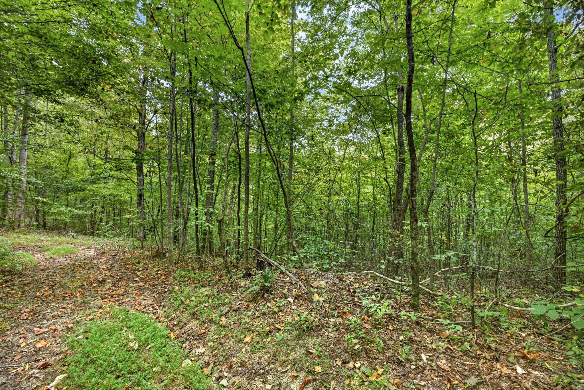 0 Timber Ridge Lane Property Photo 1