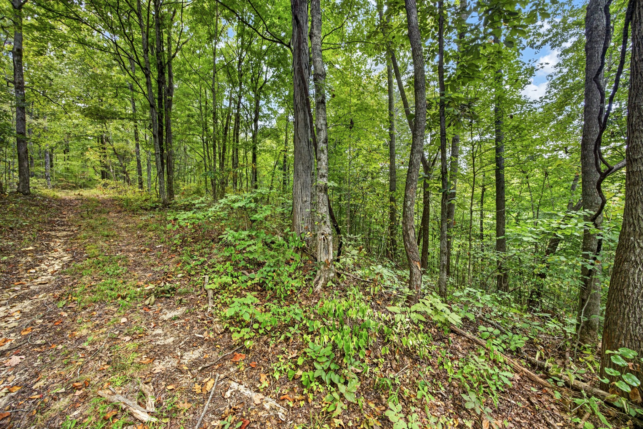 0 Timber Ridge Lane Property Photo 2