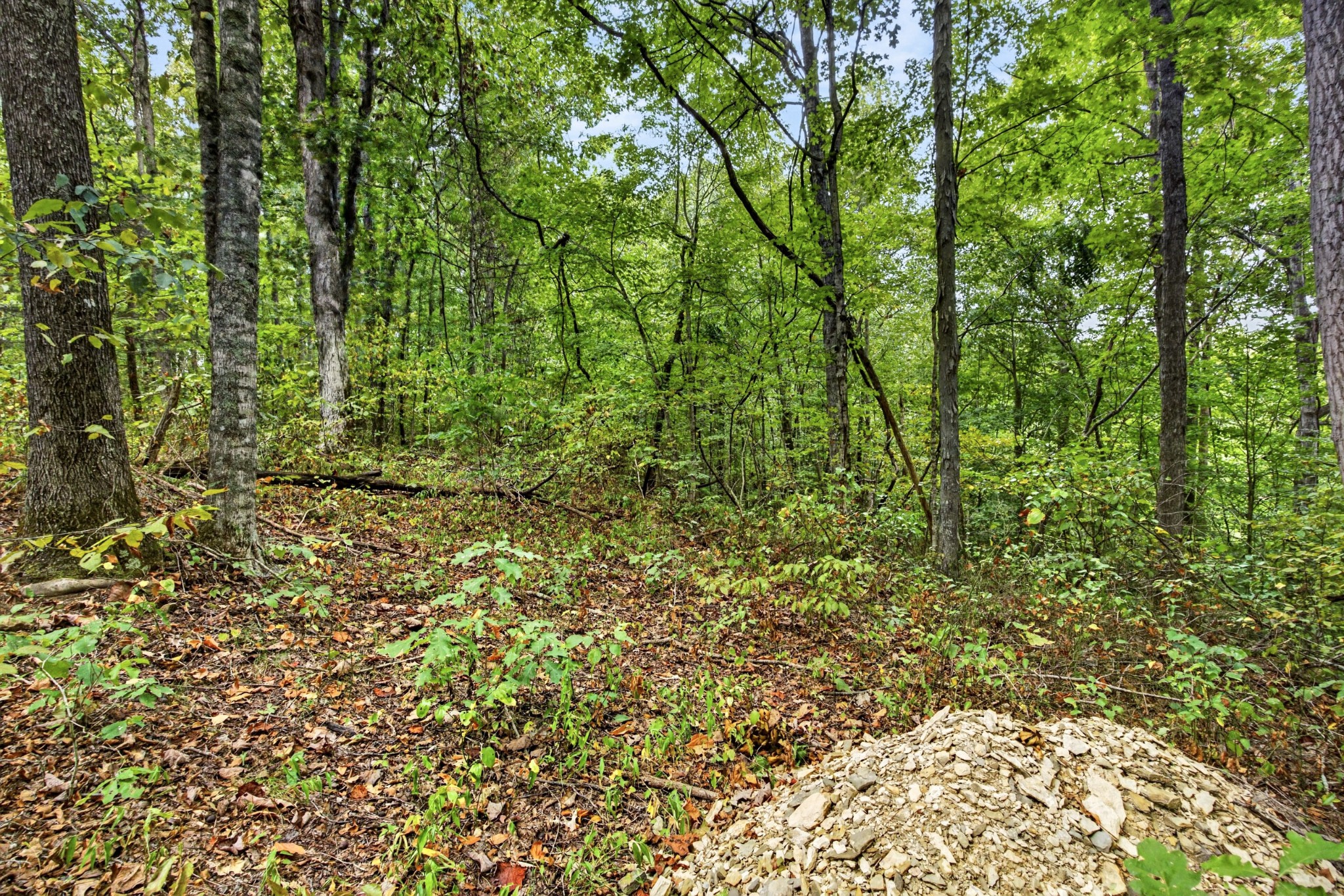 0 Timber Ridge Lane Property Photo 4