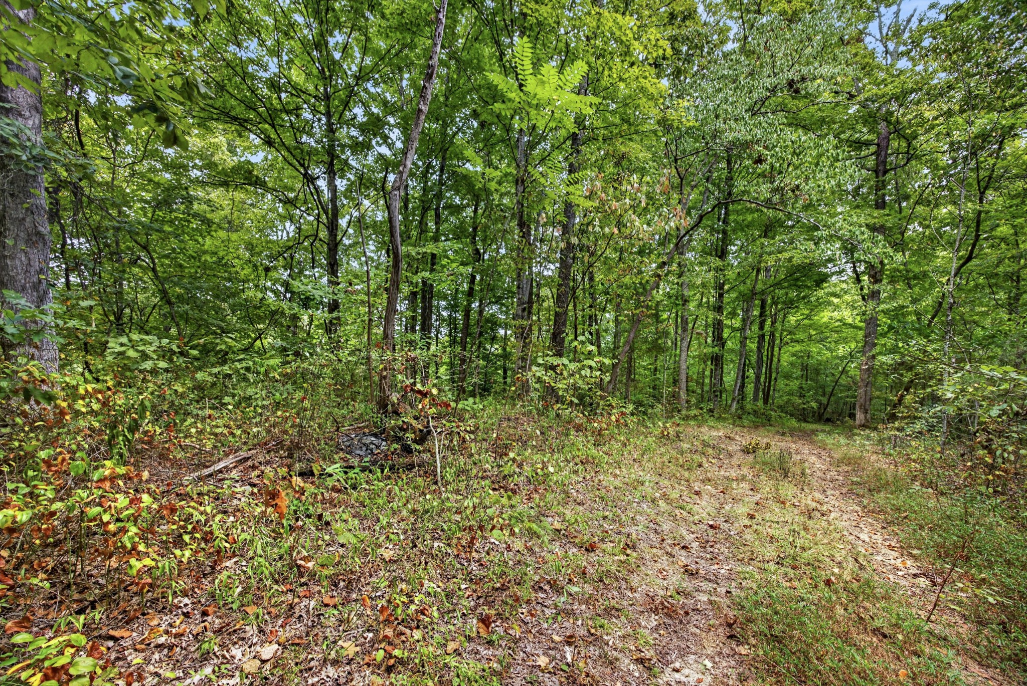 0 Timber Ridge Lane Property Photo 9