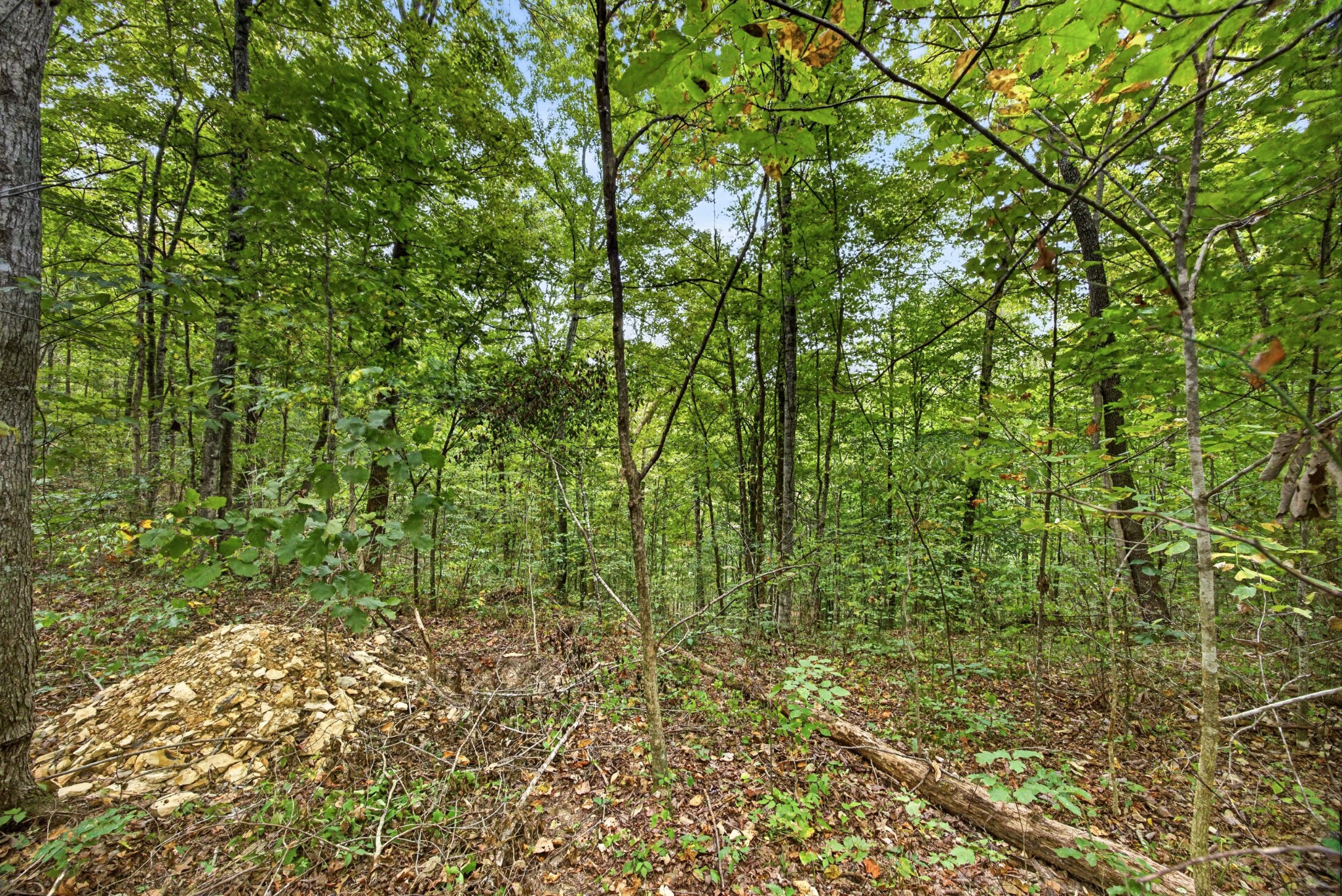 0 Timber Ridge Lane Property Photo 11